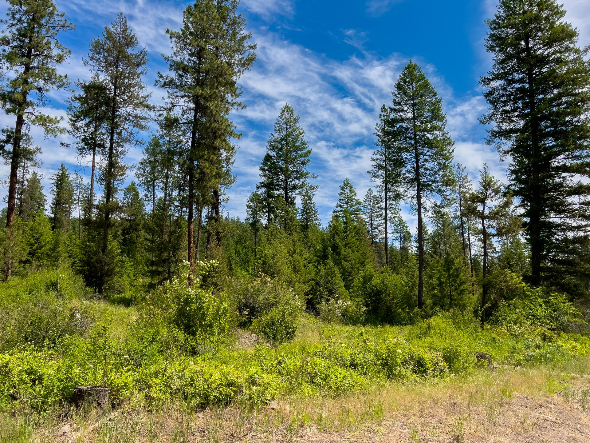 
                        Property photograph at
                        3124 ORIENT CUTOFF RD
                      