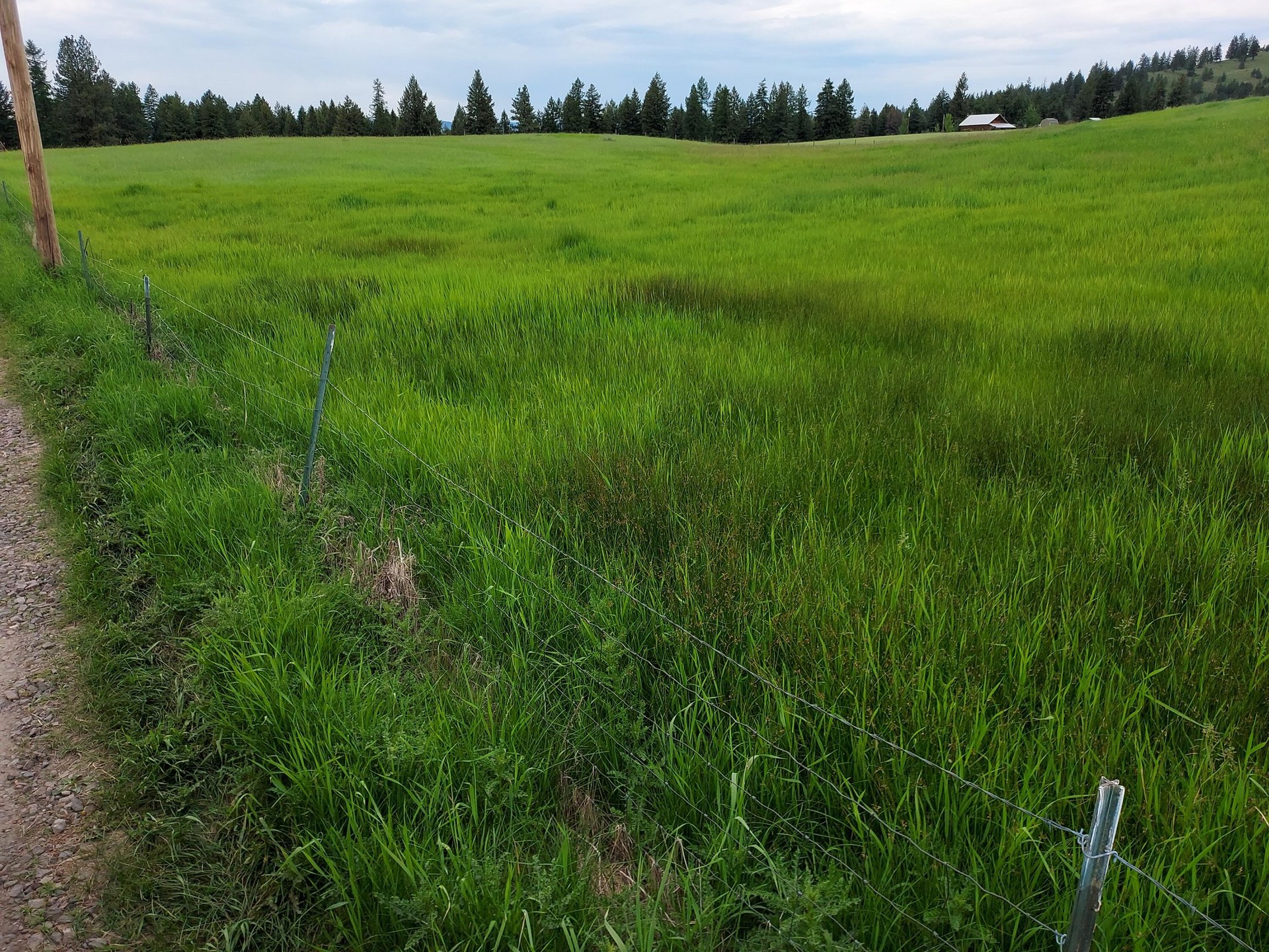 
                        Property photograph at
                        37 OLD RANCH HOUSE ROAD  (LOT 1 )
                      