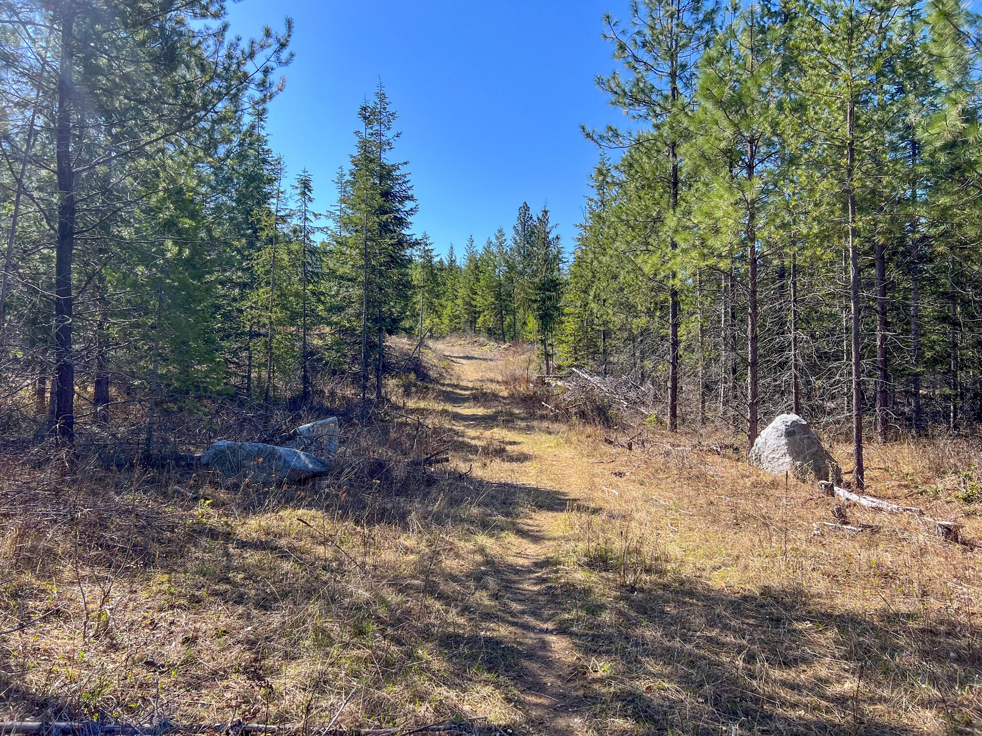 
                        Property photograph at
                        26XX FLOWERY TRAIL RD
                      