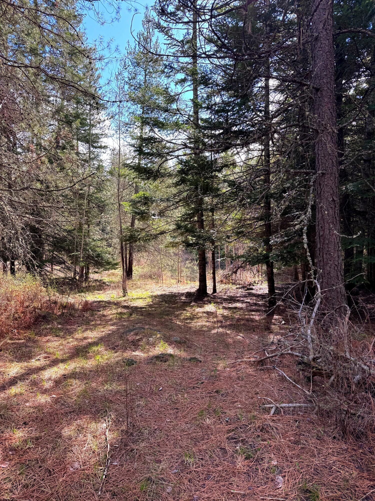 
                        Property photograph at
                        2XXX BLK E ELOIKA LAKE RD
                      