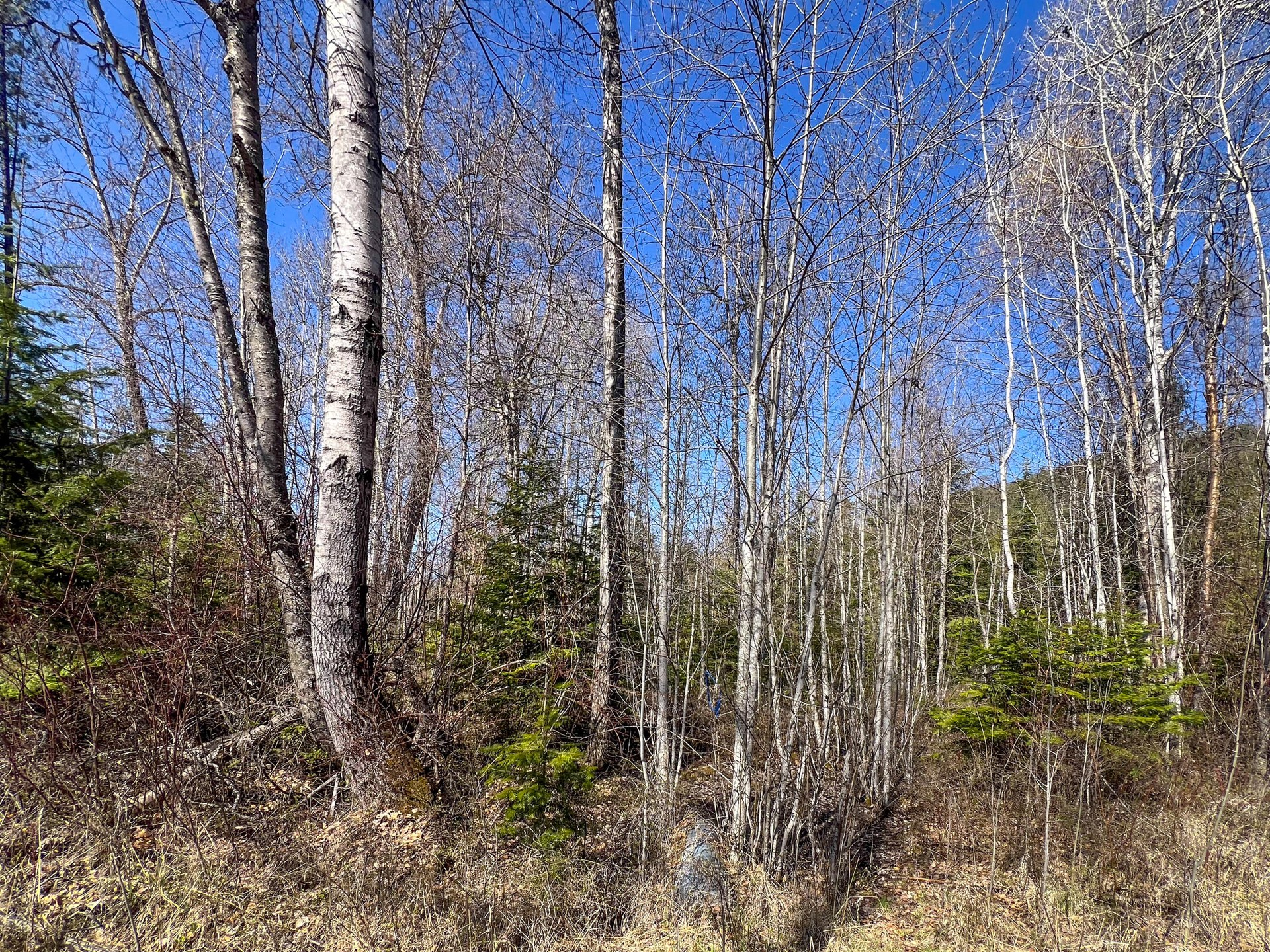 
                        Property photograph at
                        26XX FLOWERY TRAIL RD
                      