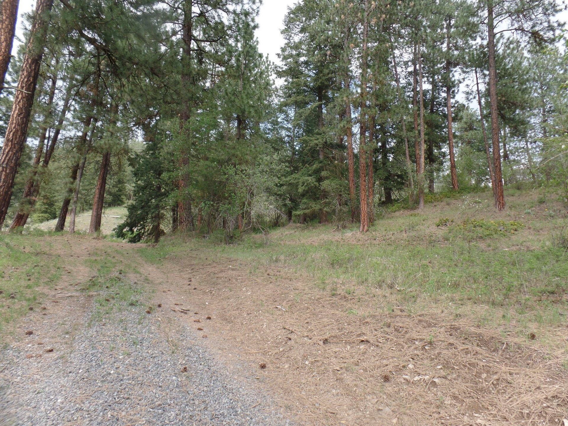 
                        Property photograph at
                        2XX HWY 395 N #A
                      