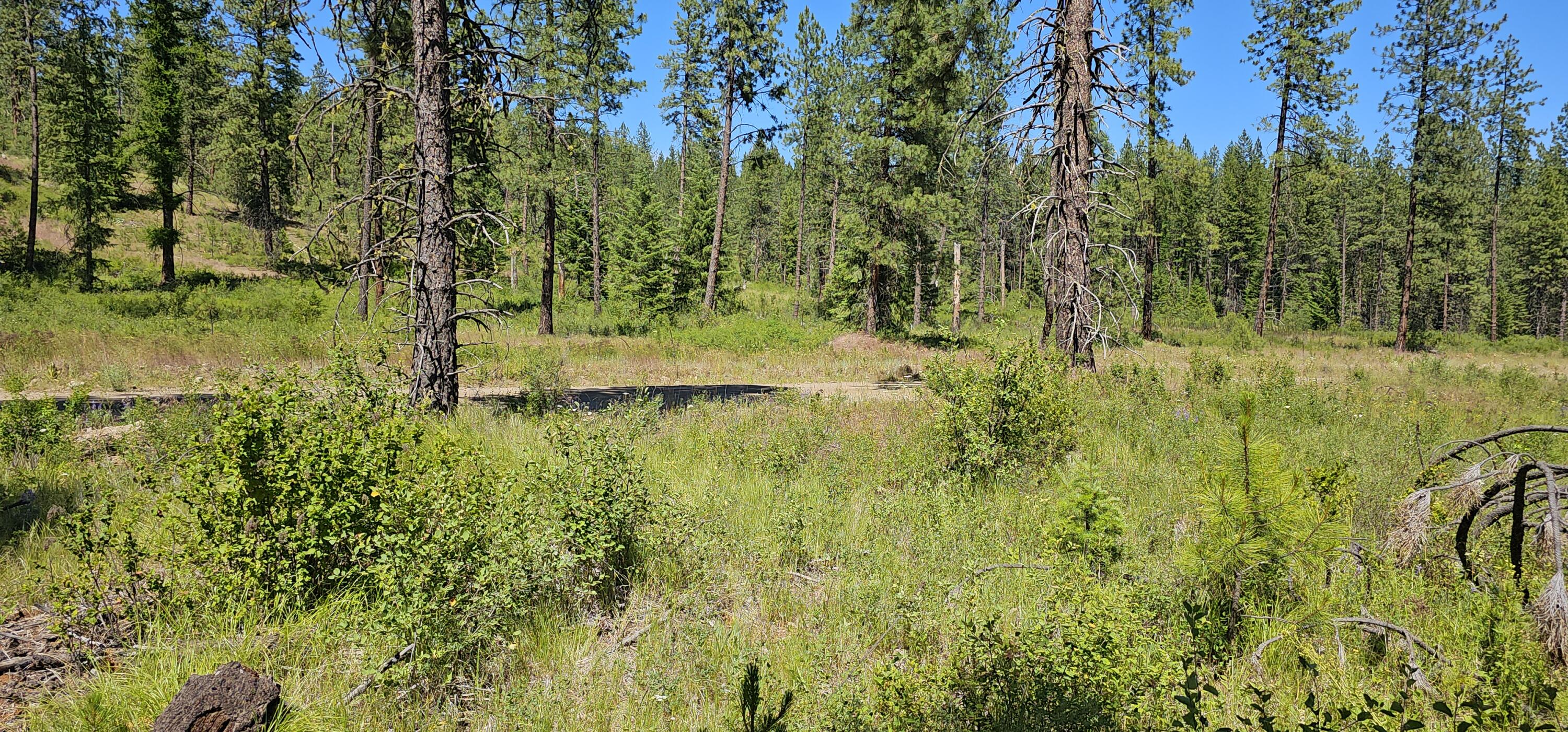 
                        Property photograph at
                        20X LYNX CREEK RD
                      