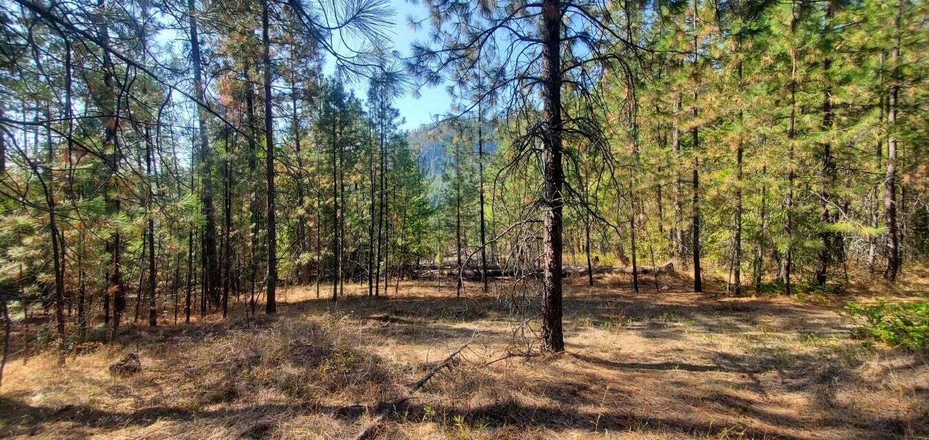 
                        Property photograph at
                        3733 XX SAND CREEK RD
                      