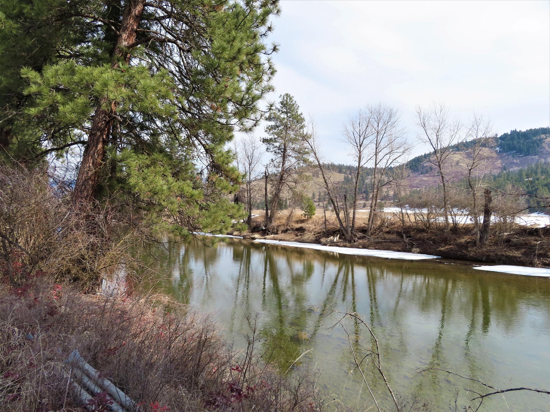 
                        Property photograph at
                        TBD HIGHWAY 21 N
                      
