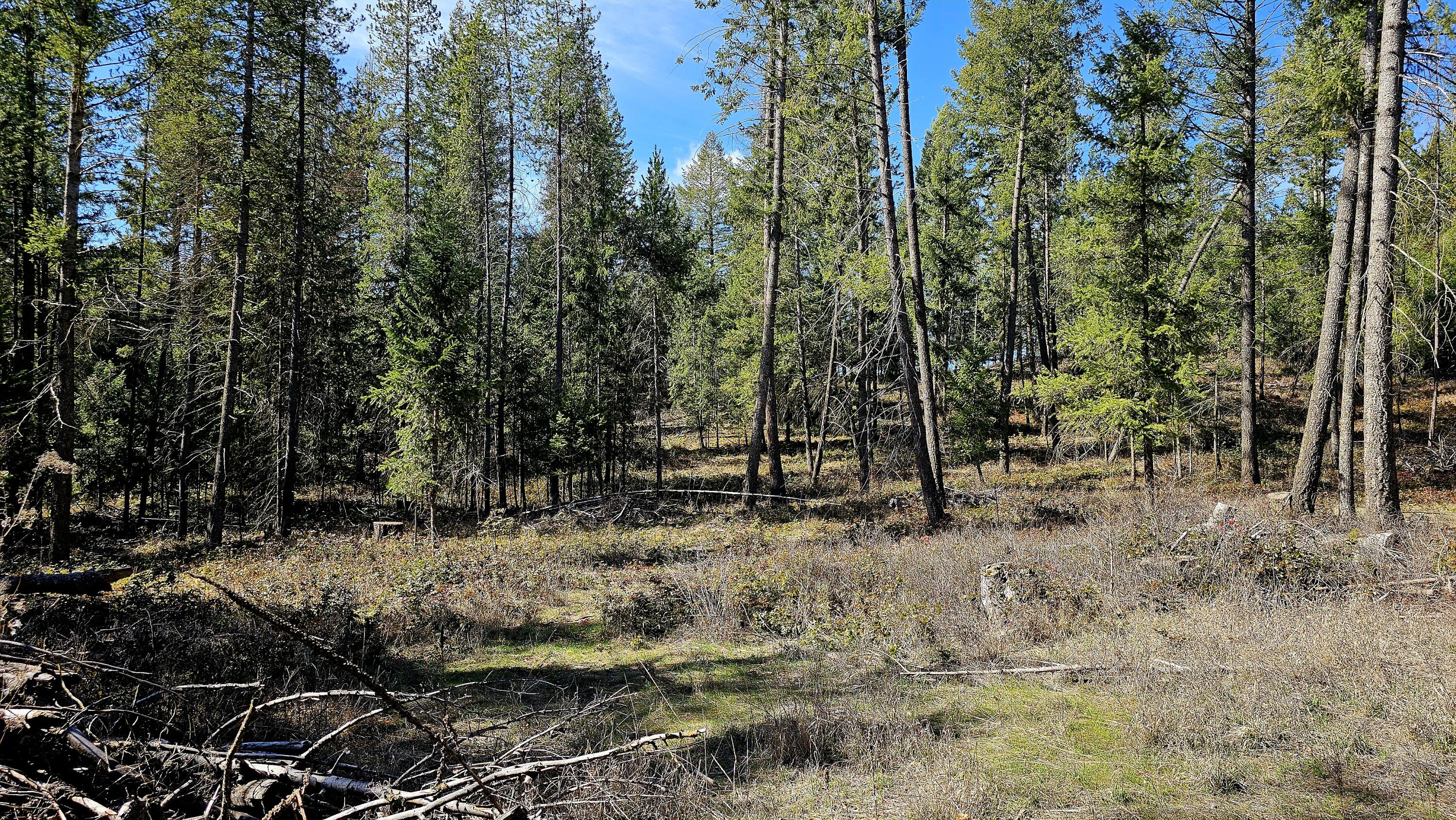 
                        Property photograph at
                        2068 ADDY-GIFFORD RD
                      