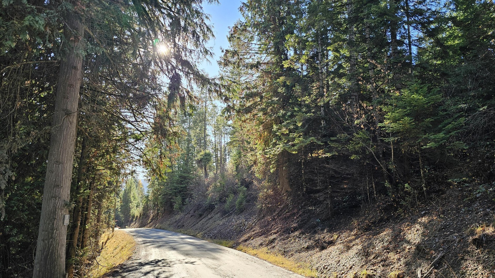 
                        Property photograph at
                        717 B FINLEY GULCH RD
                      