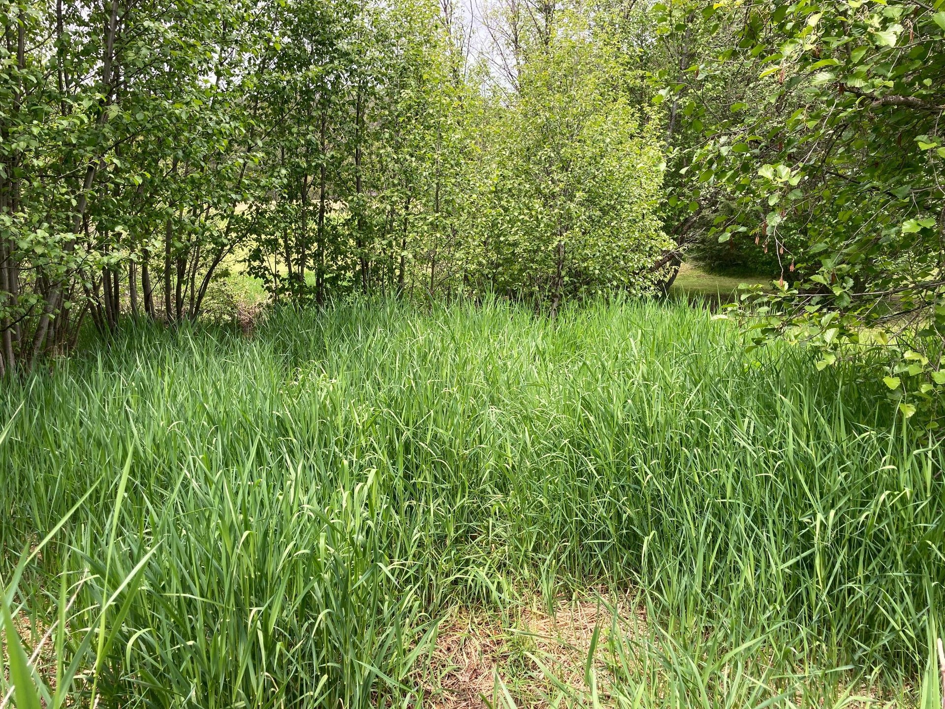 
                        Property photograph at
                        1496 E HWY 20 XX
                      