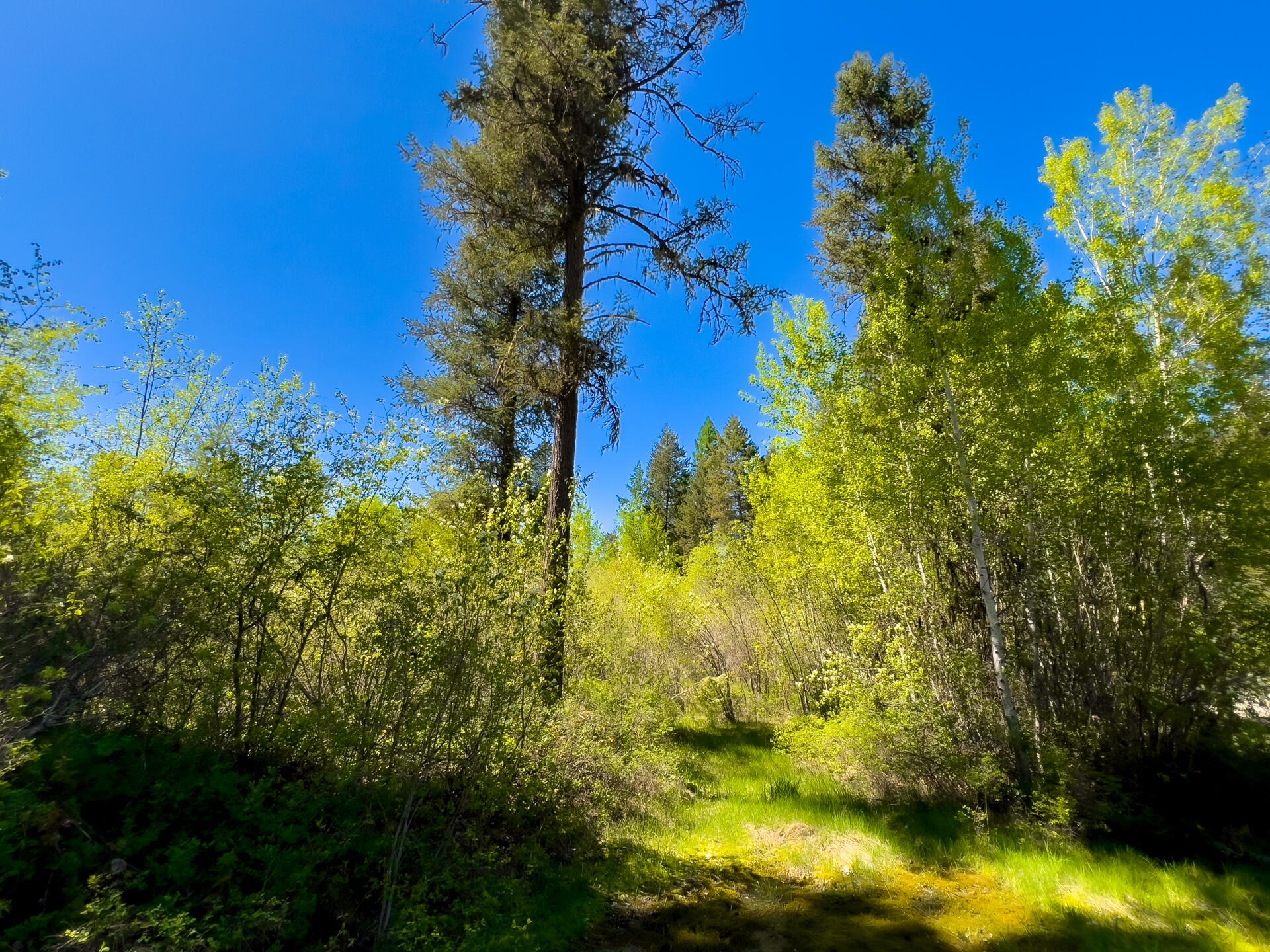 
                        Property photograph at
                        3124 ORIENT CUTOFF RD
                      