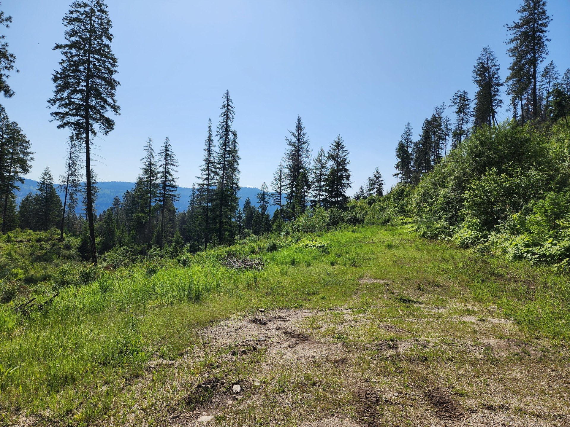 
                        Property photograph at
                        LOT 4 MATSEN CREEK RD
                      