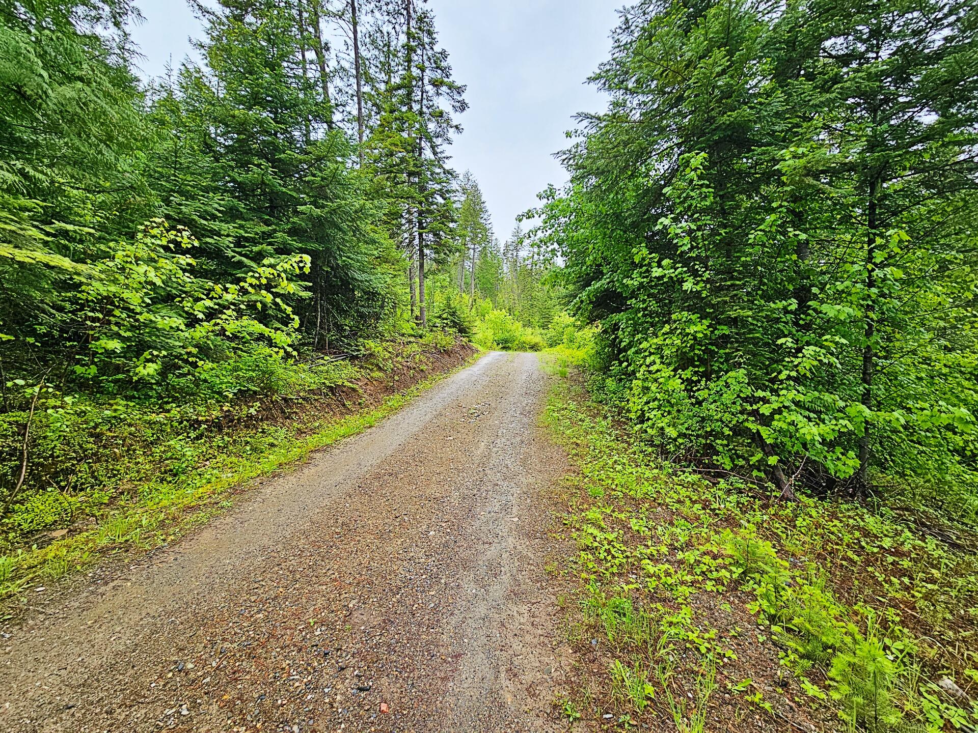 
                        Property photograph at
                        1895 TBD BLUE CREEK ROAD RD
                      