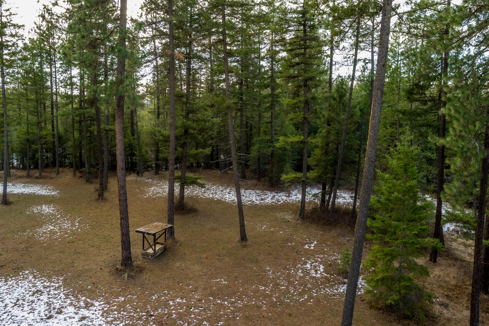 
                        Property photograph at
                        2559 UNITED COPPER MINE RD
                      