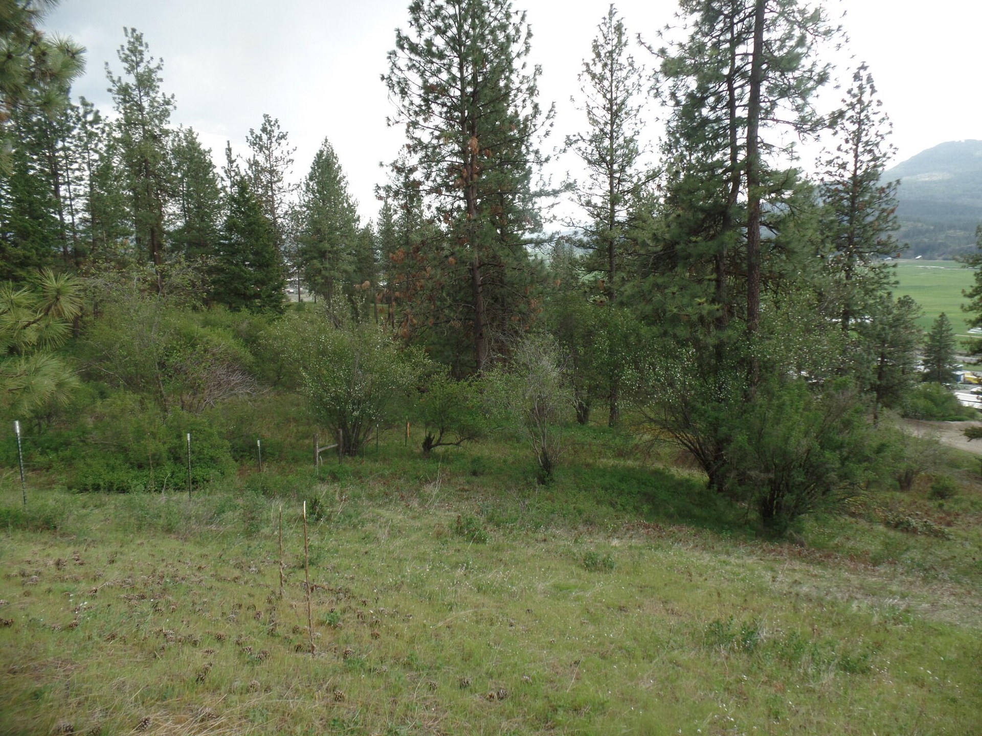 
                        Property photograph at
                        2XX HWY 395 N #B
                      