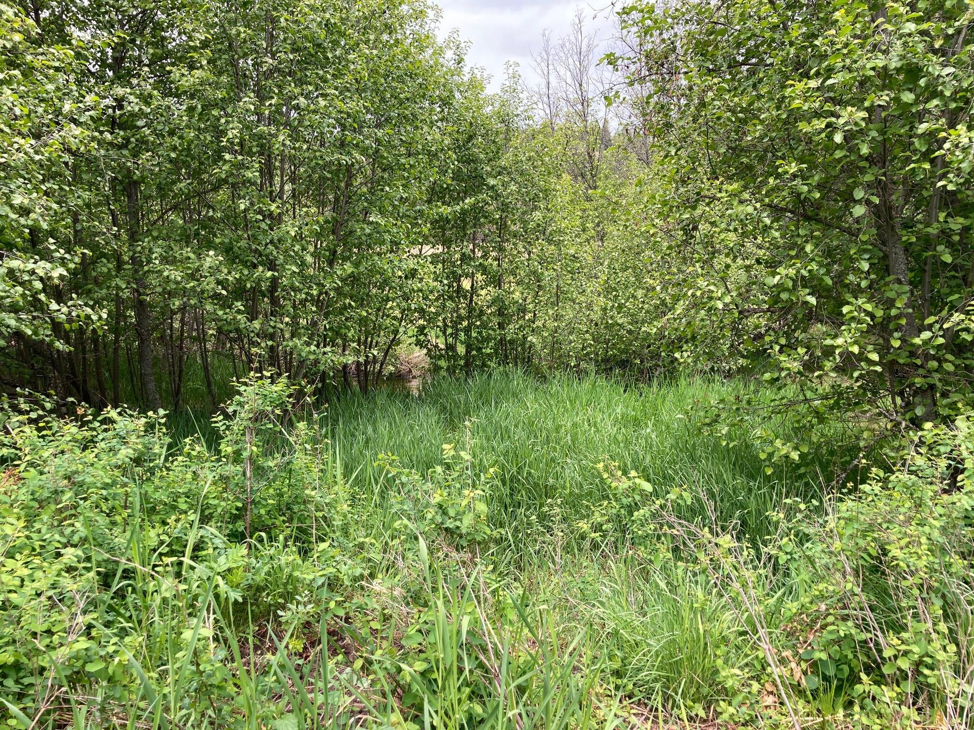 
                        Property photograph at
                        1496 E HWY 20 XX
                      
