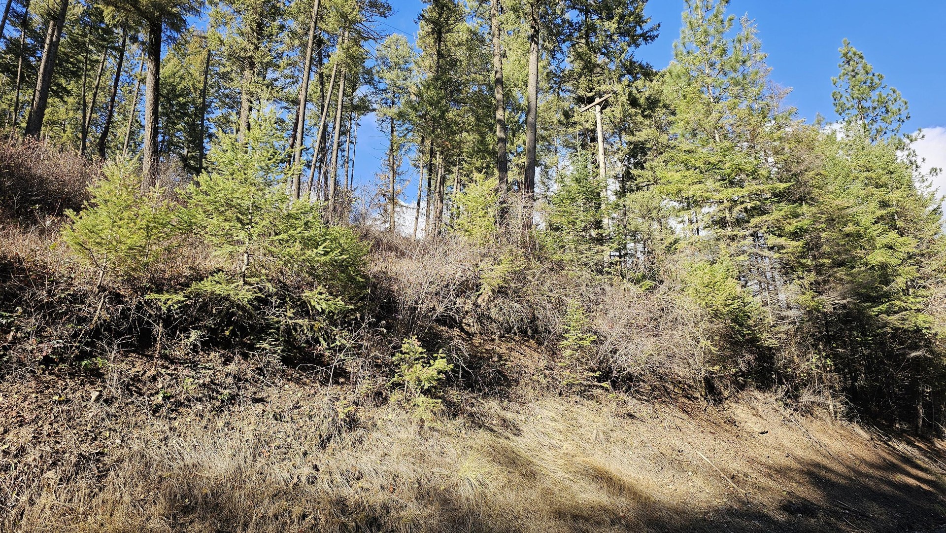 
                        Property photograph at
                        717 B FINLEY GULCH RD
                      