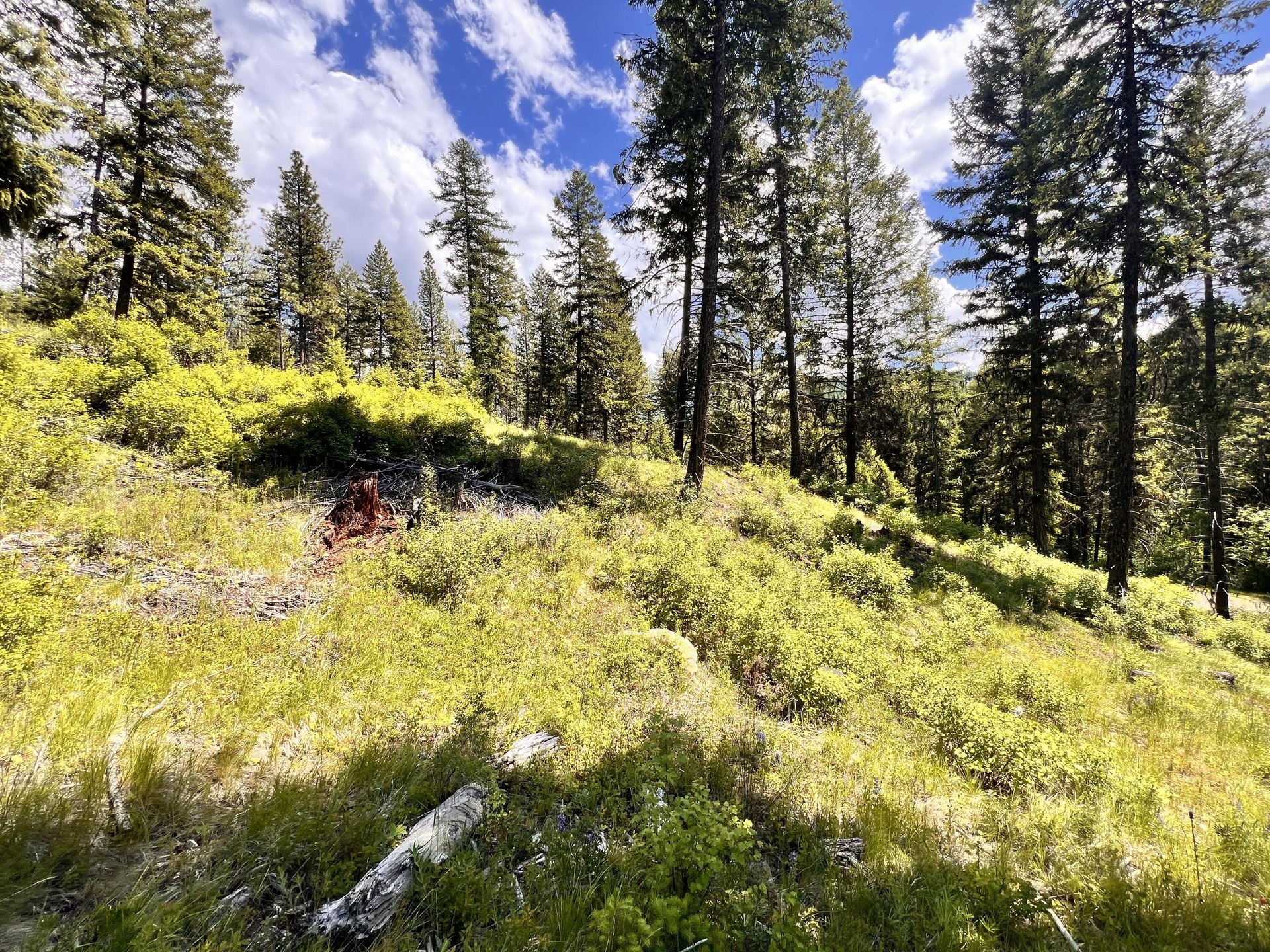 
                        Property photograph at
                        TBD OLD KETTLE FALLS RD
                      