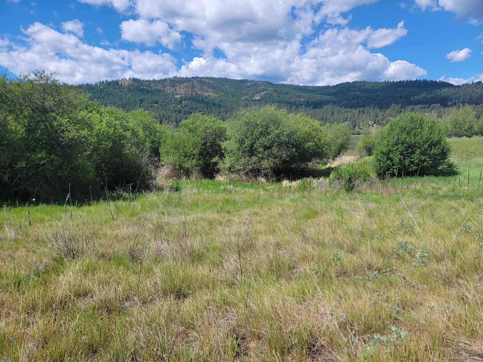 
                        Property photograph at
                        TBD CURLEW DR
                      