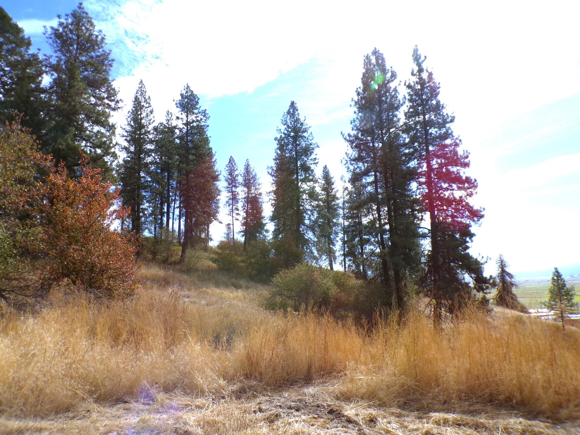 
                        Property photograph at
                        2XX HWY 395 N
                      