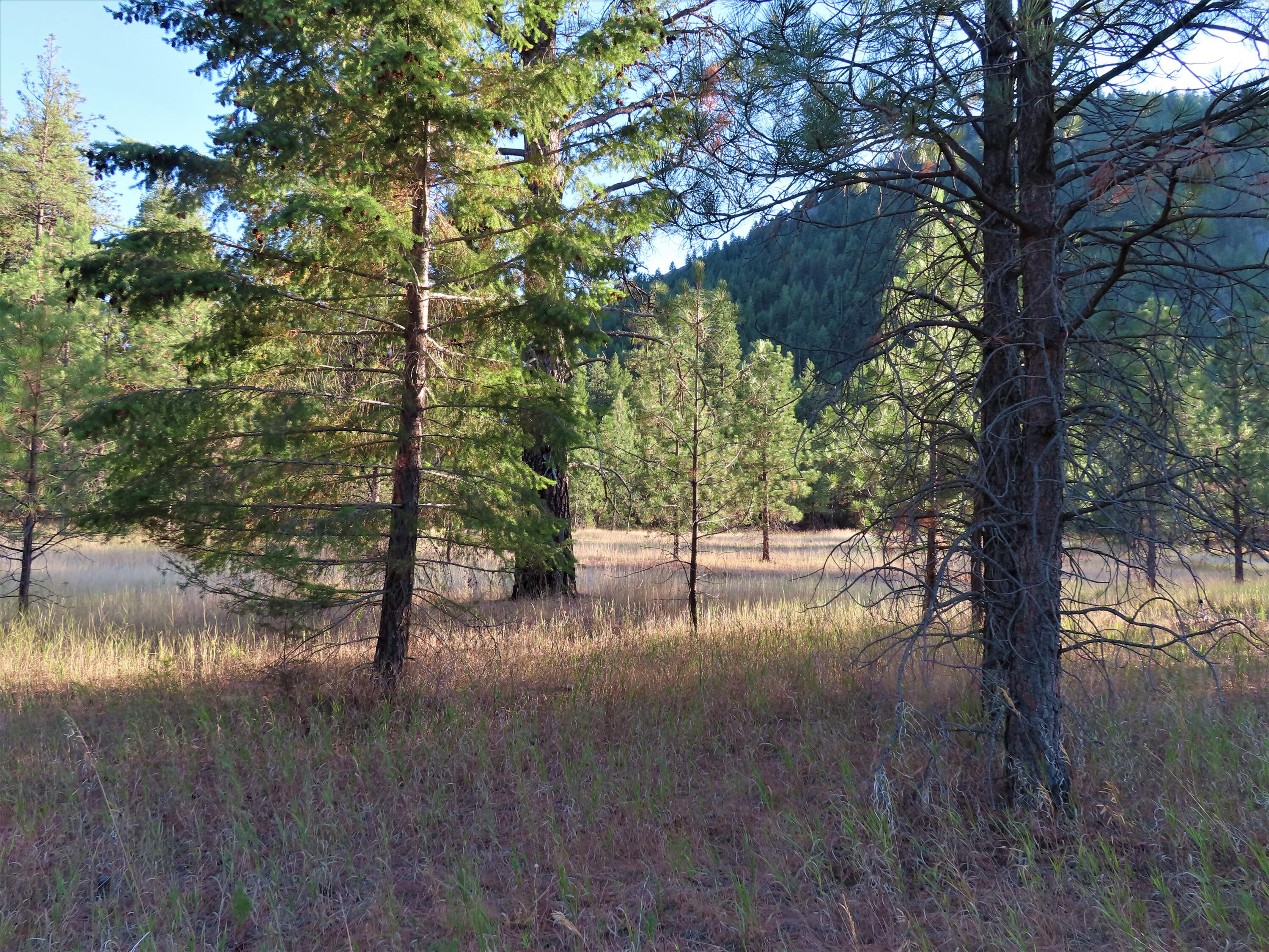 
                        Property photograph at
                        TBD TORODA CREEK RD
                      