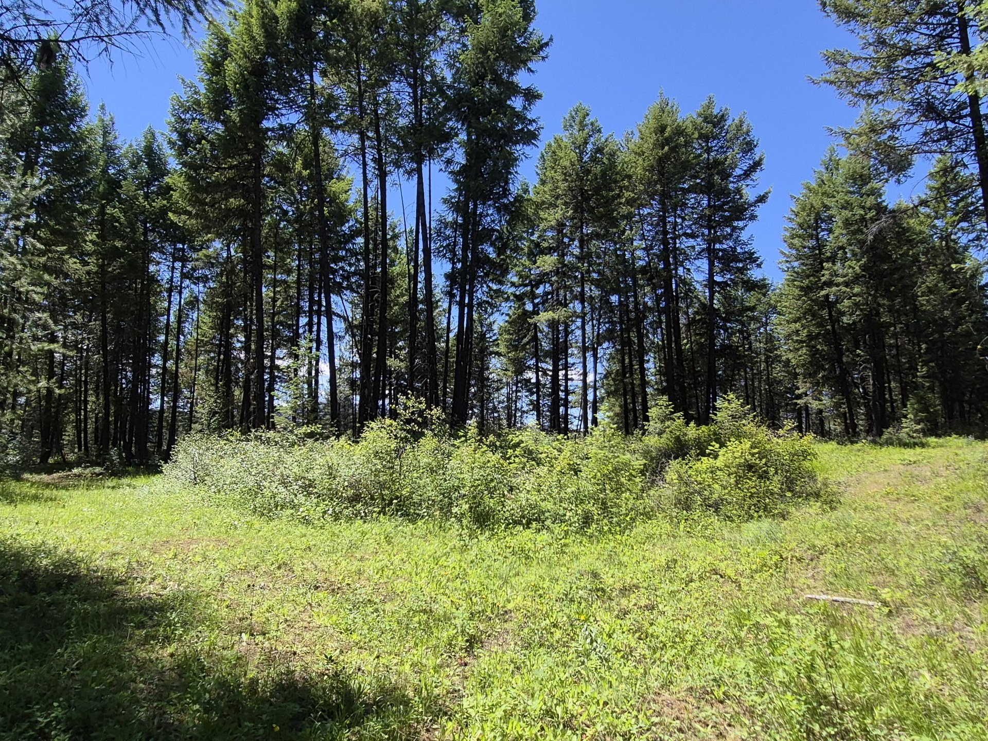 
                        Property photograph at
                        2094 CLUGSTON ONION CREEK RD
                      