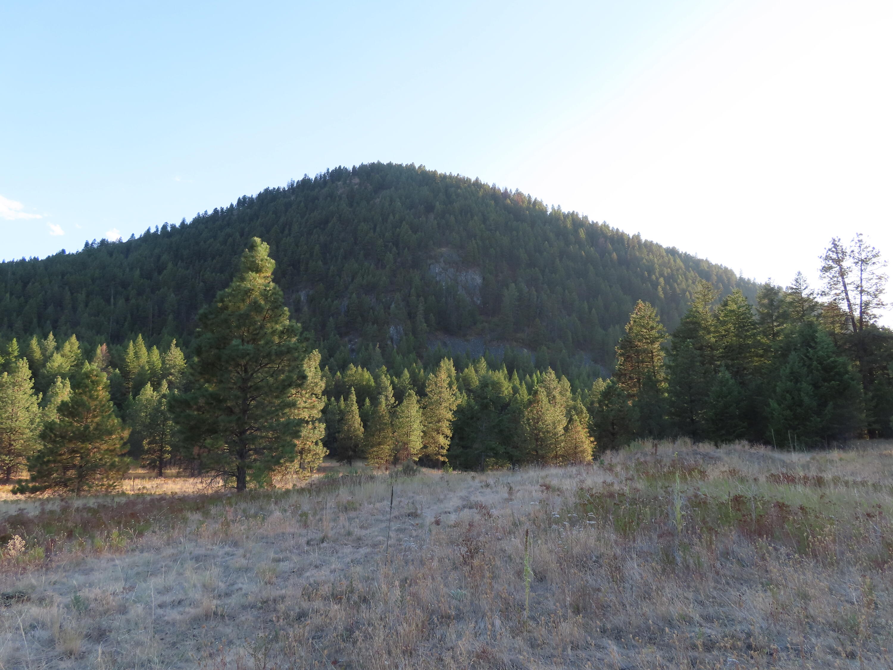 
                        Property photograph at
                        TBD TORODA CREEK RD
                      