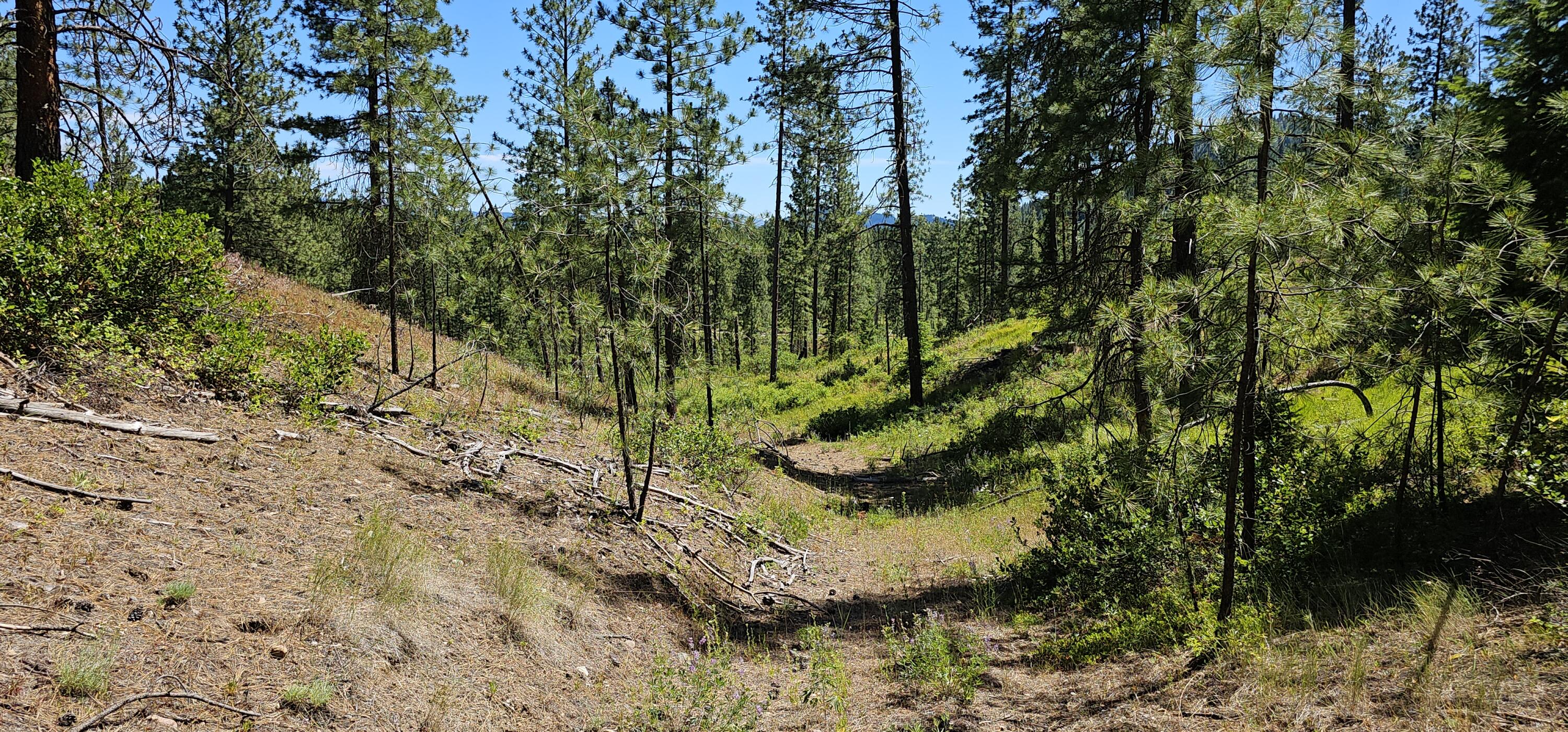 
                        Property photograph at
                        20X LYNX CREEK RD
                      