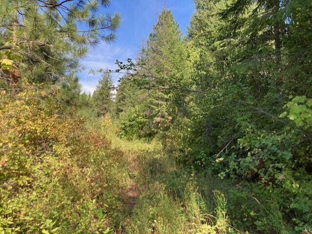 
                        Property photograph at
                        2462X WA-25 HWY
                      