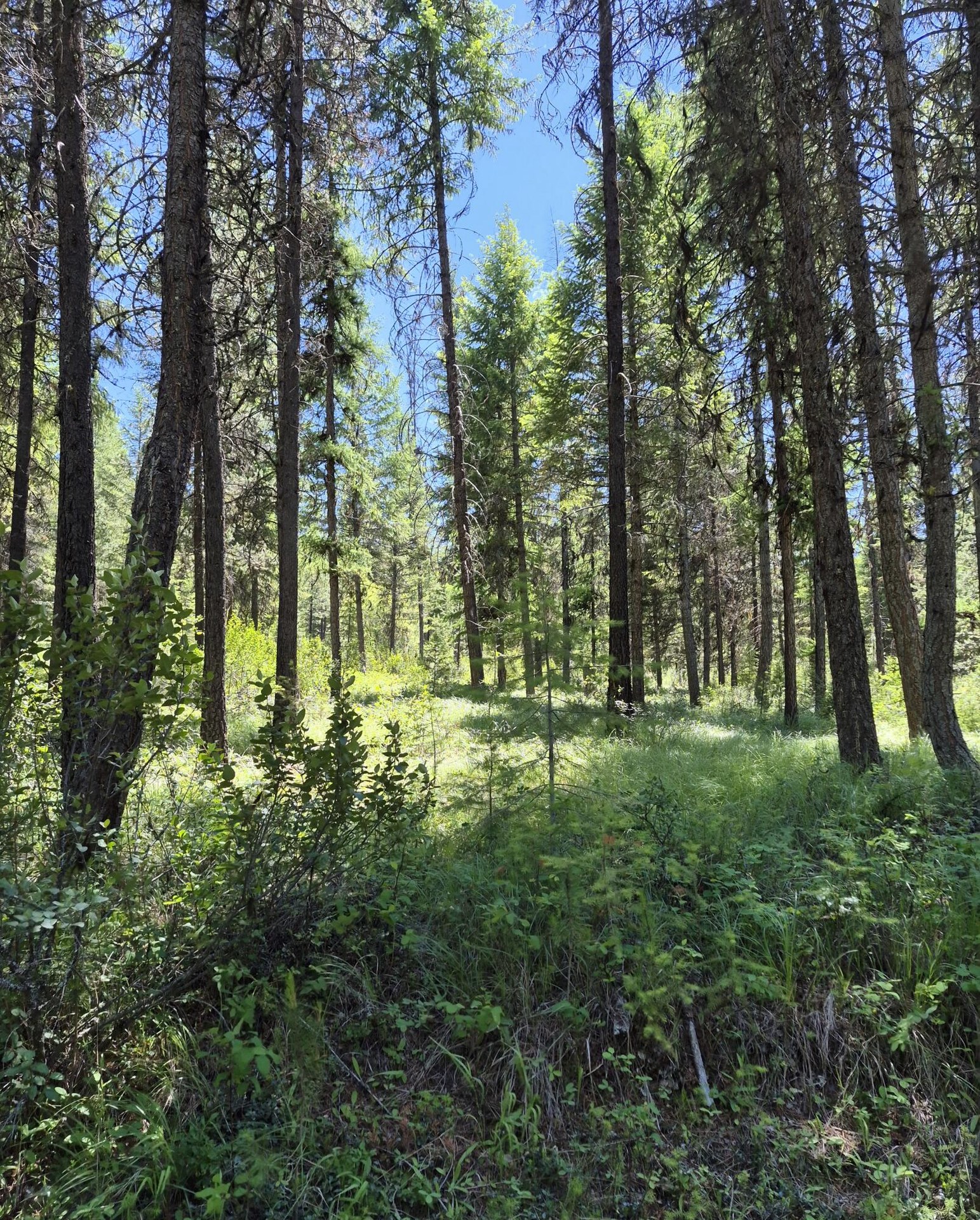 
                        Property photograph at
                        2094 CLUGSTON ONION CREEK RD
                      
