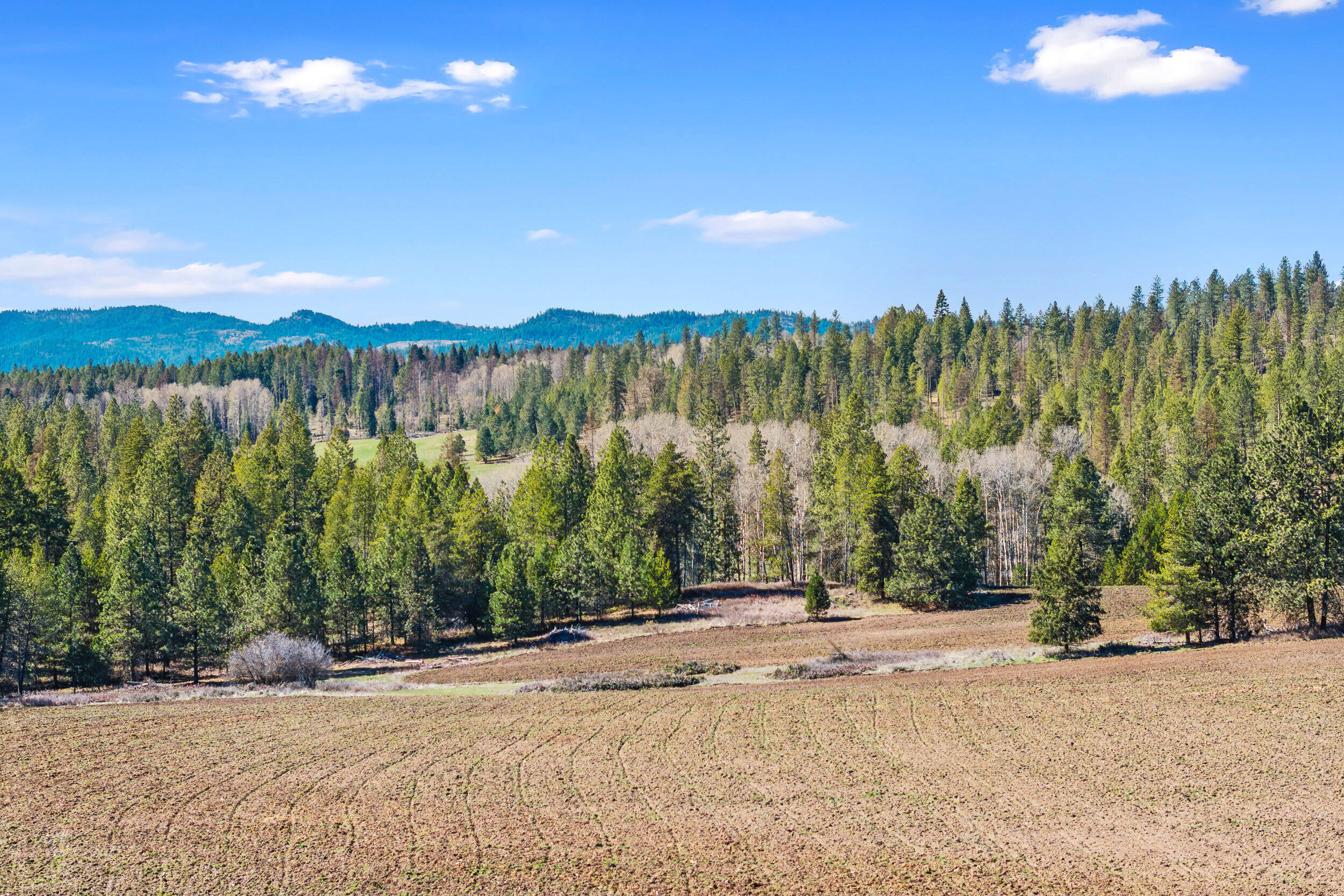 
                        Property photograph at
                        2068 ADDY-GIFFORD RD
                      
