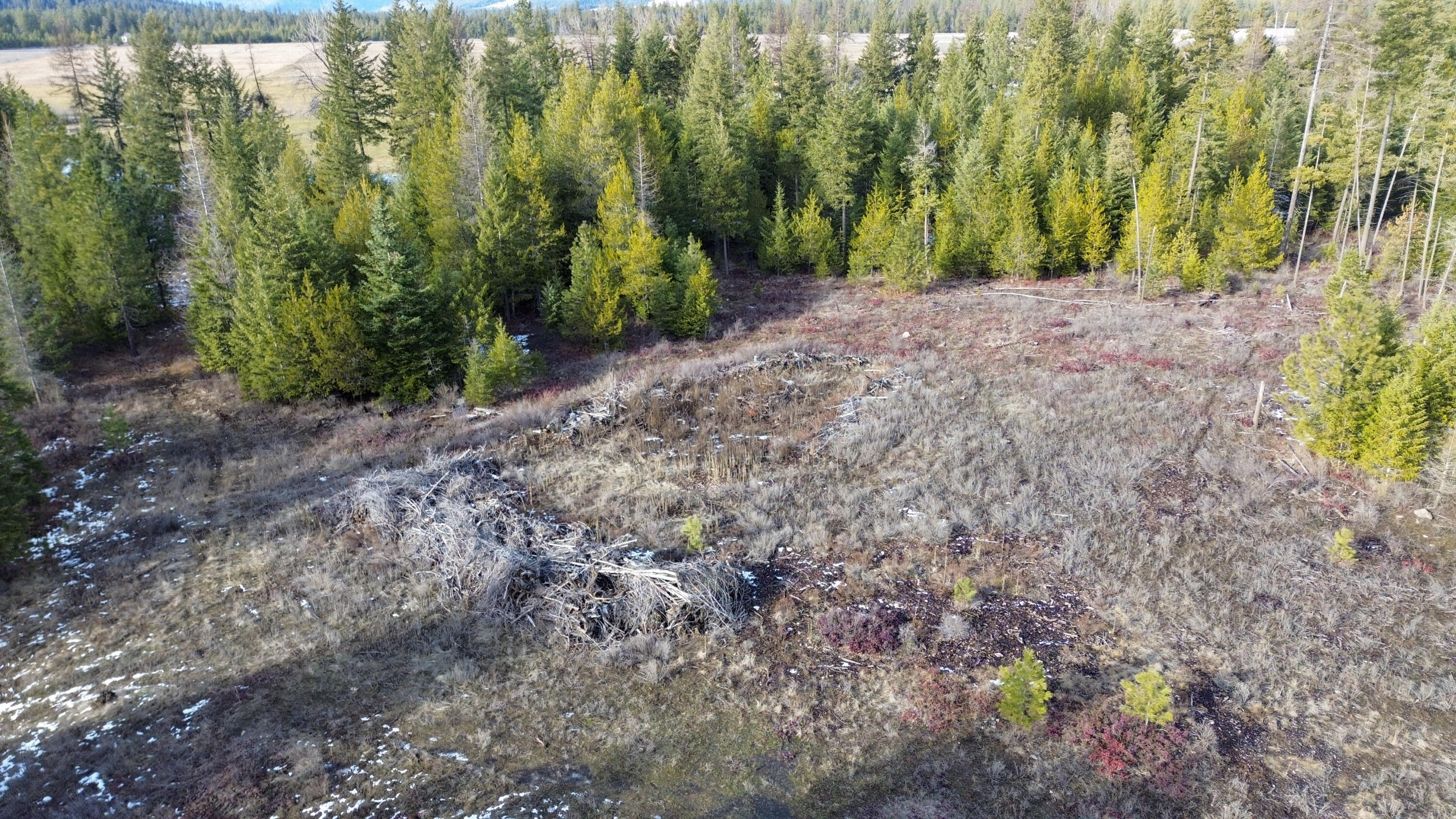 
                        Property photograph at
                        35XX HARMS WAY
                      