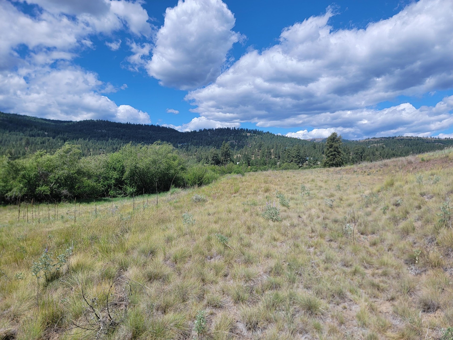 
                        Property photograph at
                        TBD CURLEW DR
                      