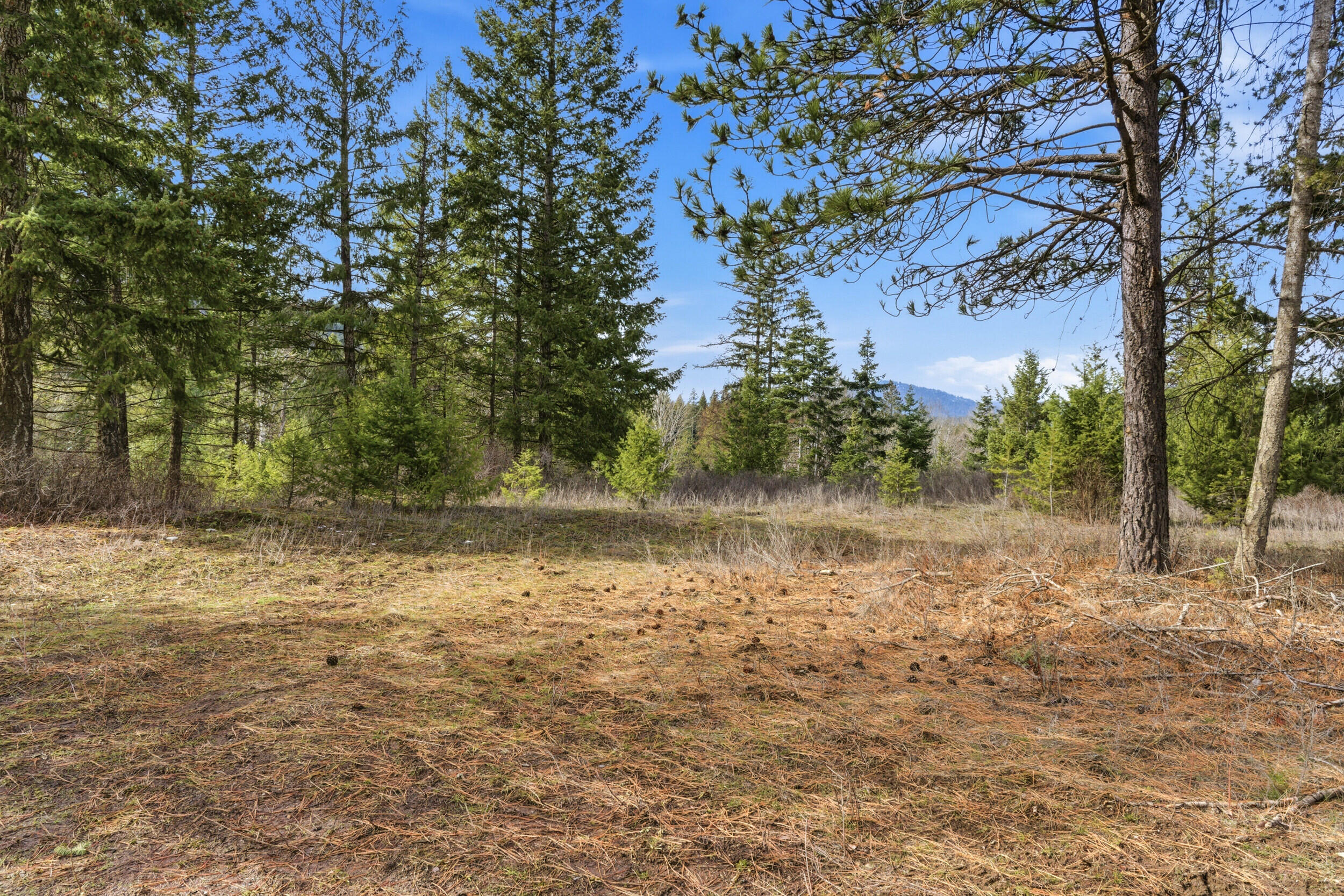 
                        Property photograph at
                        2845 BURNT VALLEY (18.5AC) RD
                      