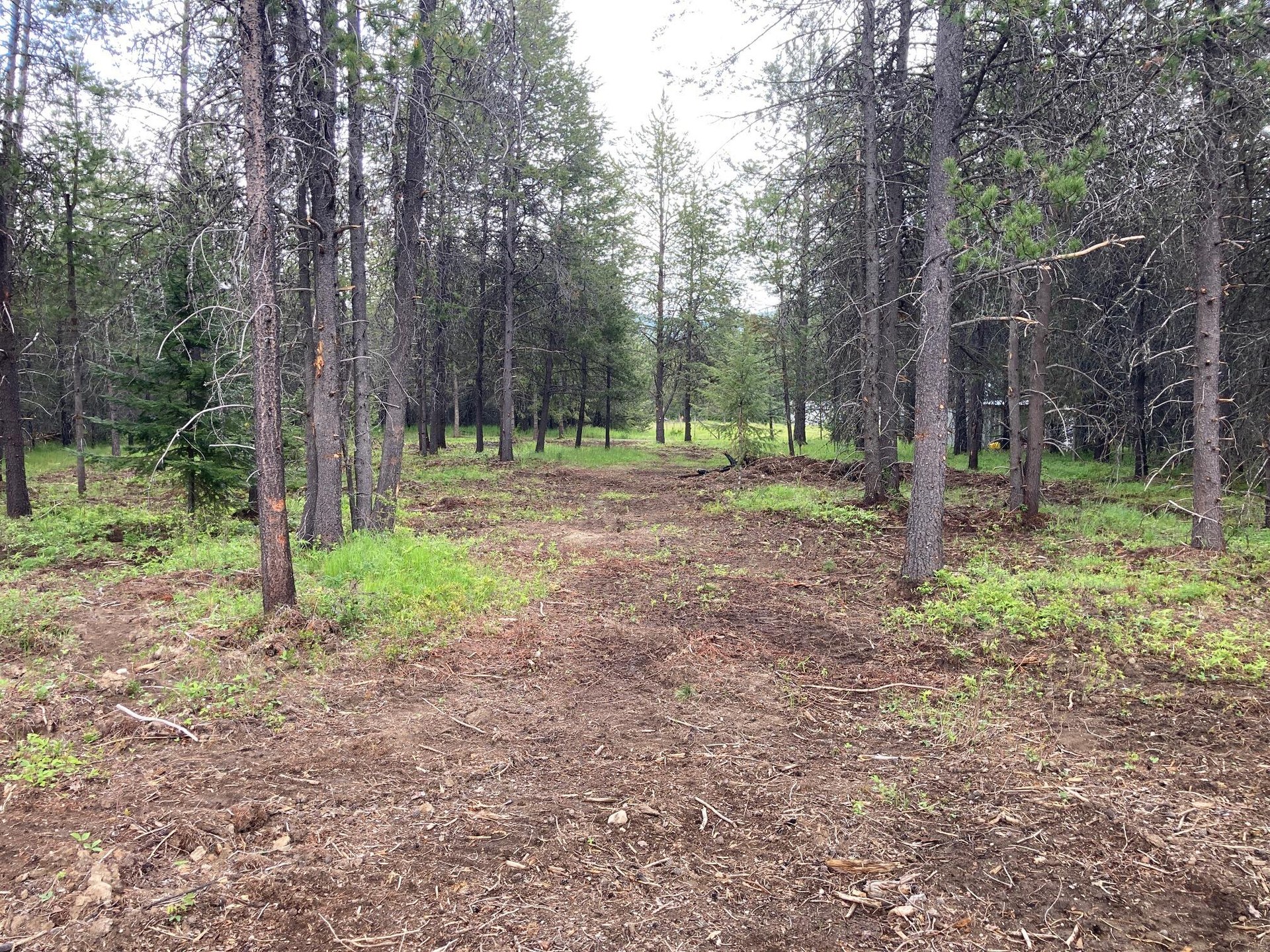 
                        Property photograph at
                        1496 E HWY 20 XX
                      