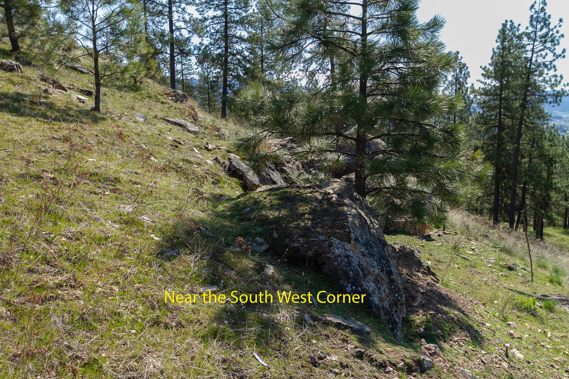 
                        Property photograph at
                        1622 PALMER LOOP
                      