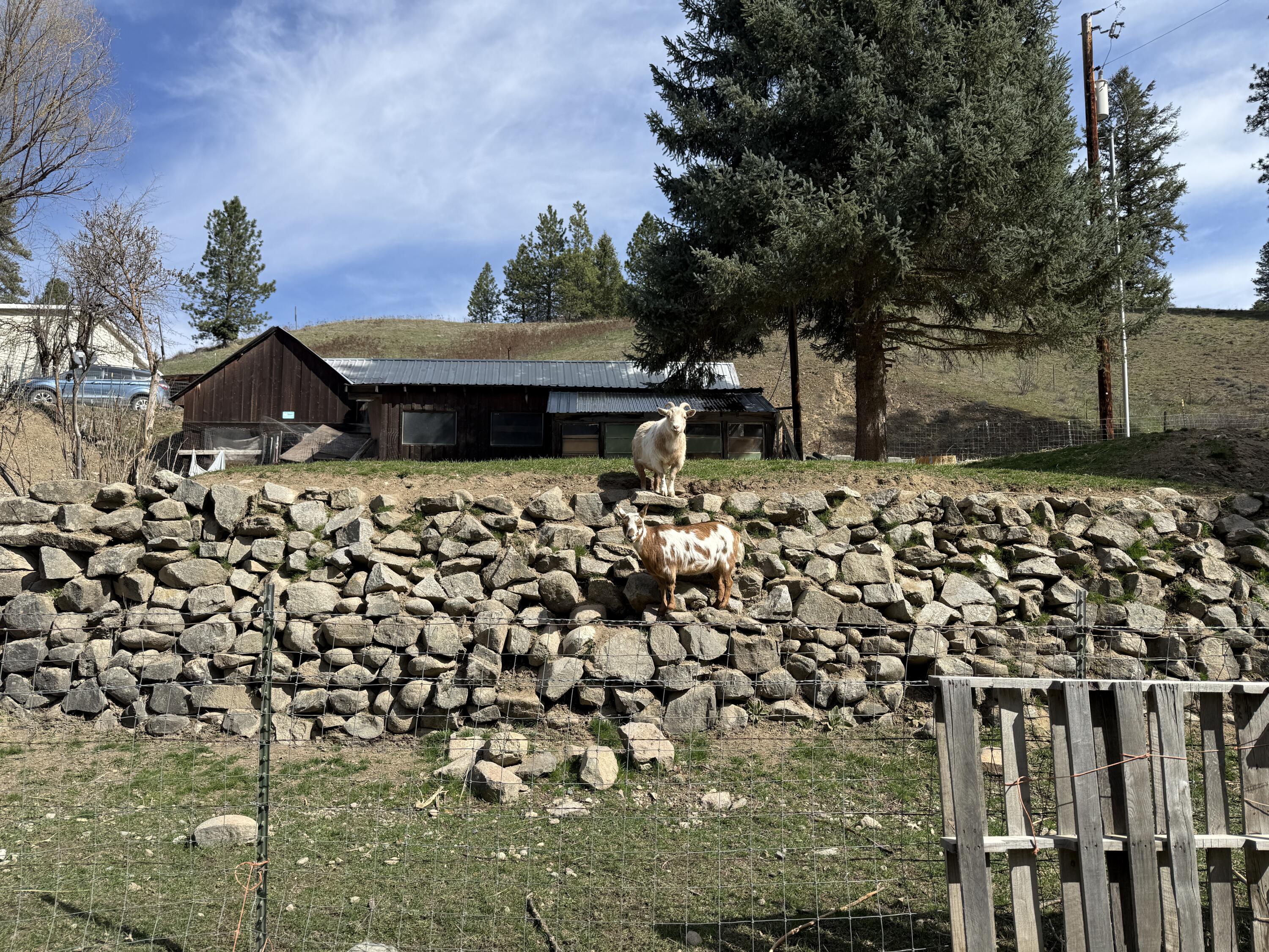 
                        Property photograph at
                        155 ST PETERS CREEK RD
                      