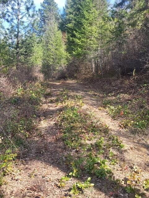 
                        Property photograph at
                        2462X WA-25 HWY
                      