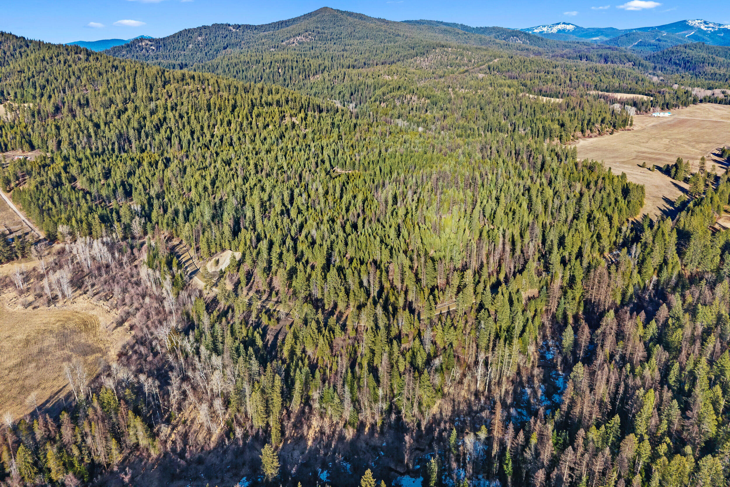 
                        Property photograph at
                        2845 BURNT VALLEY (18.5AC) RD
                      