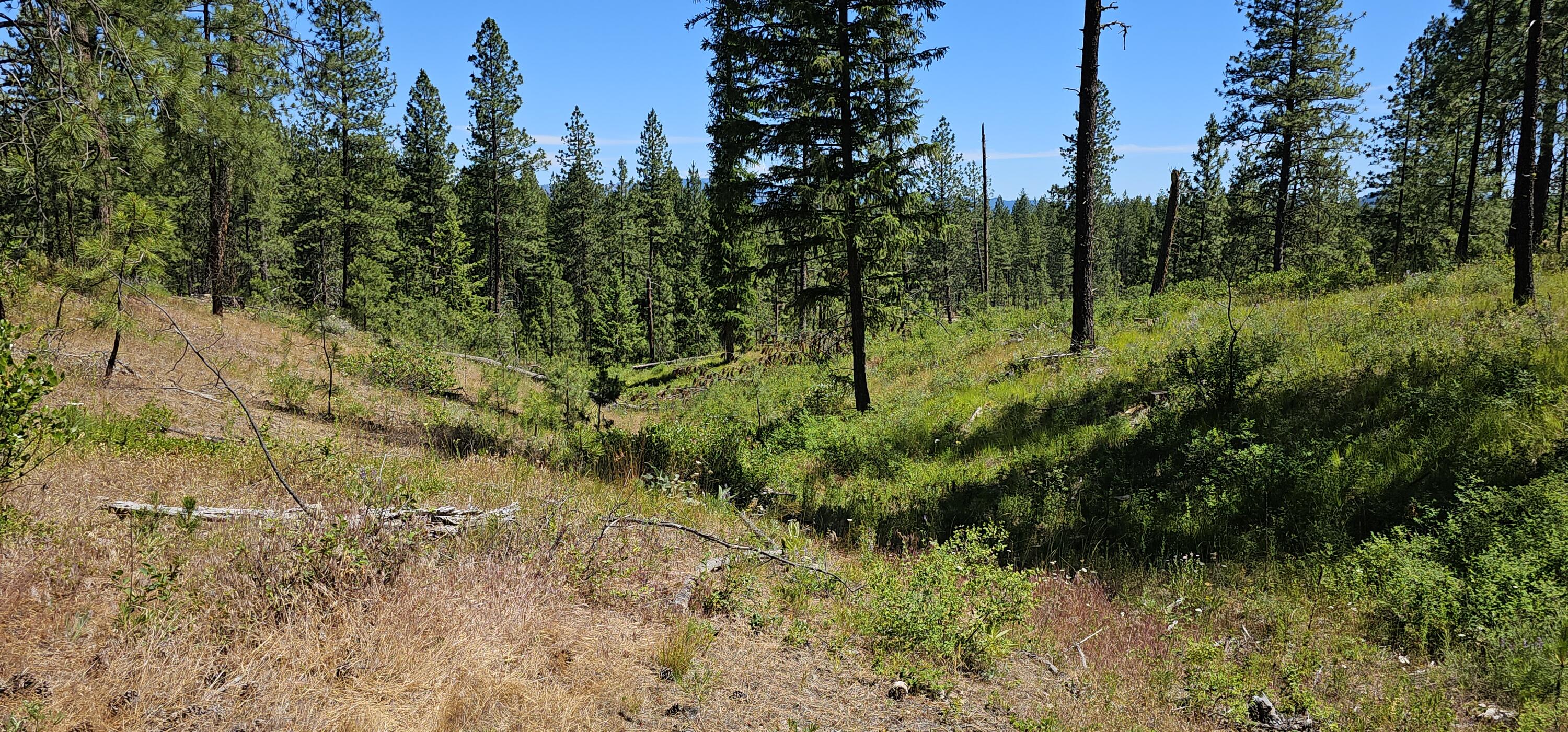 
                        Property photograph at
                        20X LYNX CREEK RD
                      
