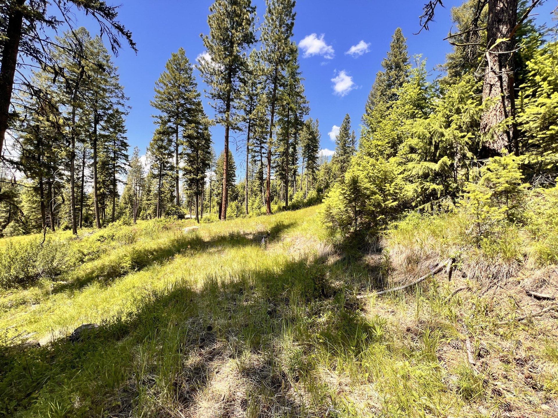 
                        Property photograph at
                        TBD OLD KETTLE FALLS RD
                      
