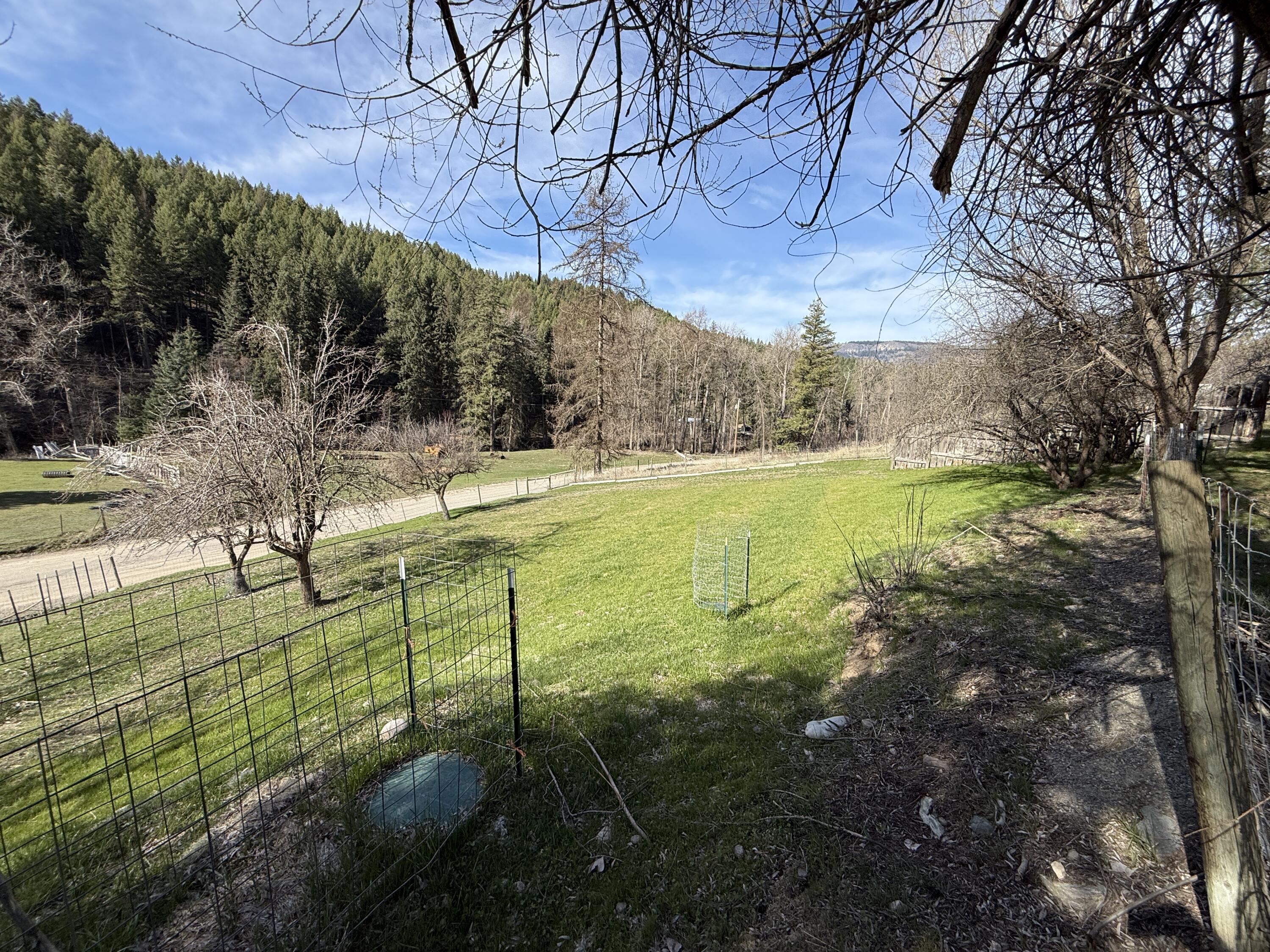 
                        Property photograph at
                        155 ST PETERS CREEK RD
                      