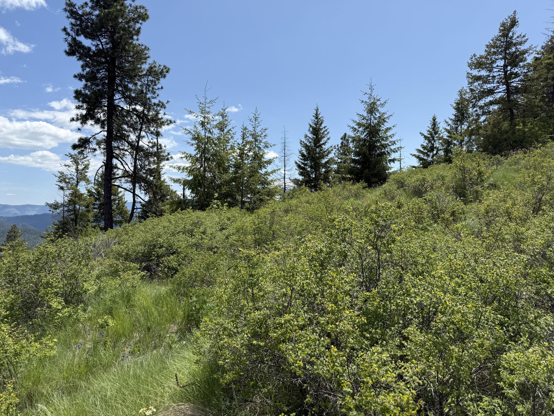 
                        Property photograph at
                        3774-C DAISY MINE RD
                      
