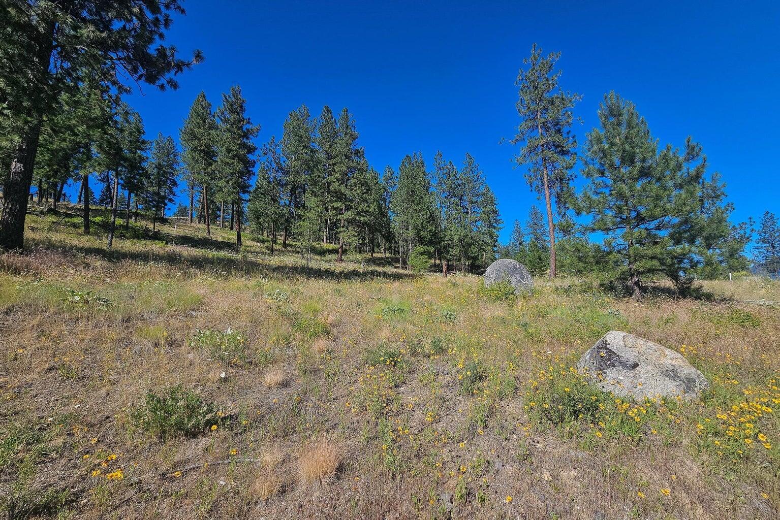 
                        Property photograph at
                        715 PALMER LN
                      