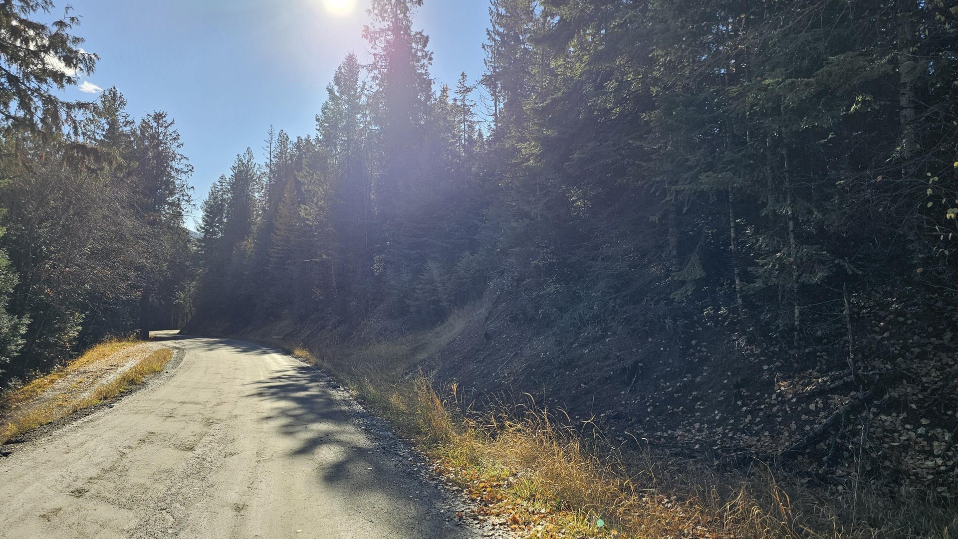 
                        Property photograph at
                        717 B FINLEY GULCH RD
                      