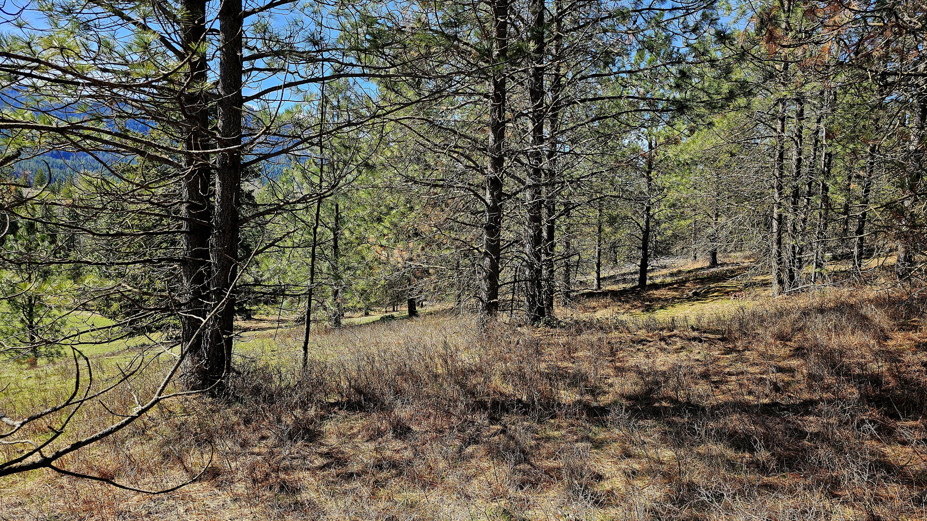 
                        Property photograph at
                        2068 ADDY-GIFFORD RD
                      
