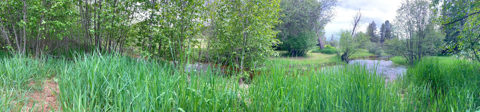 
                        Property photograph at
                        1496 E HWY 20 XX
                      