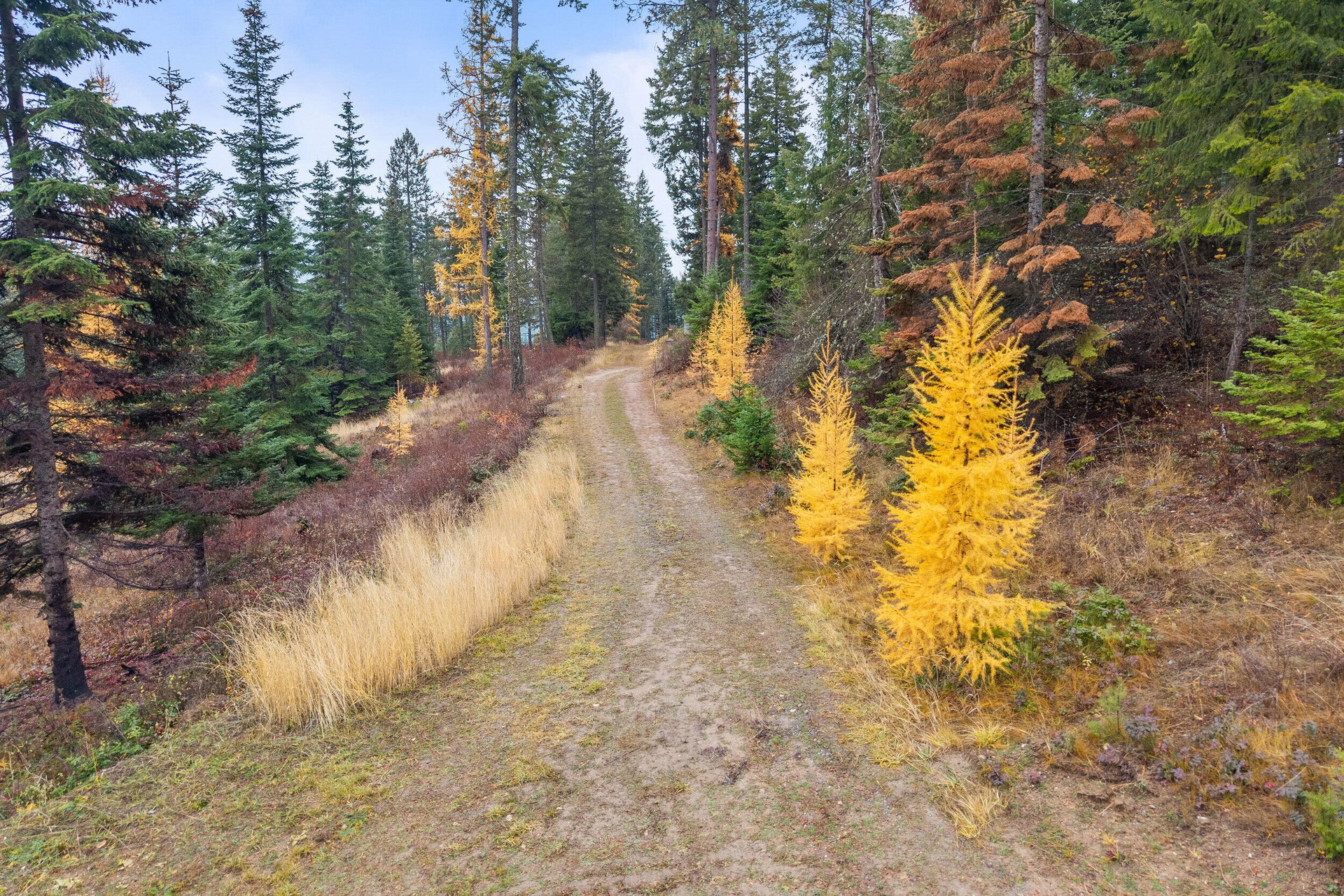 
                        Property photograph at
                        717 B FINLEY GULCH RD
                      