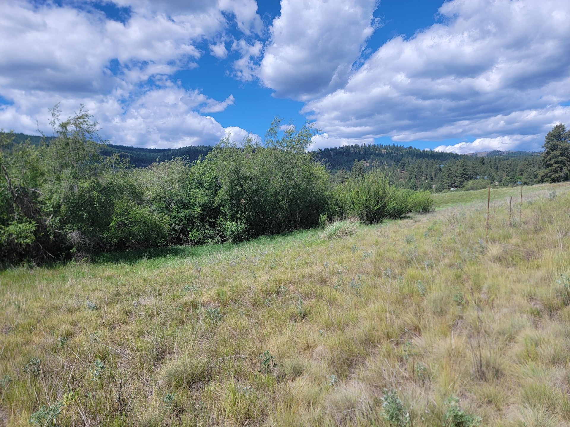 
                        Property photograph at
                        TBD CURLEW DR
                      