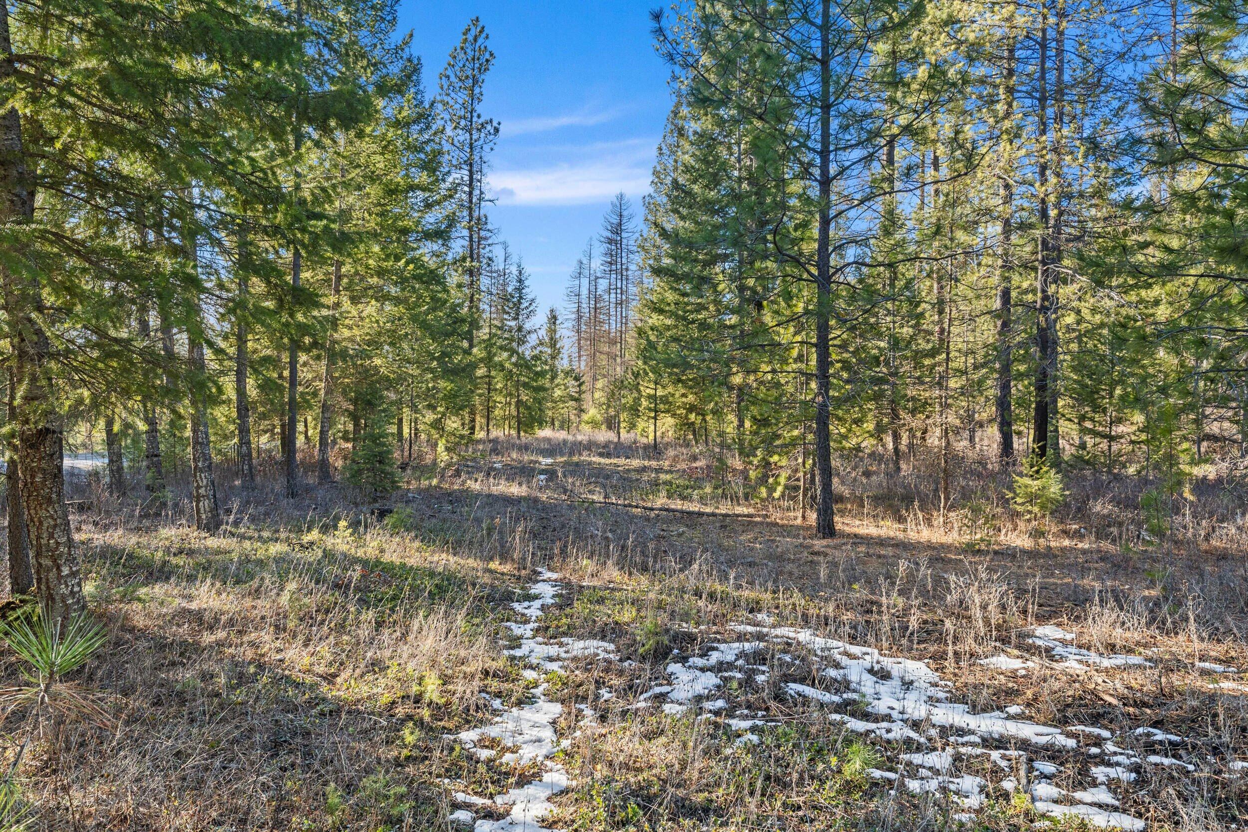 
                        Property photograph at
                        28XX BURNT VALLEY (20AC) RD
                      