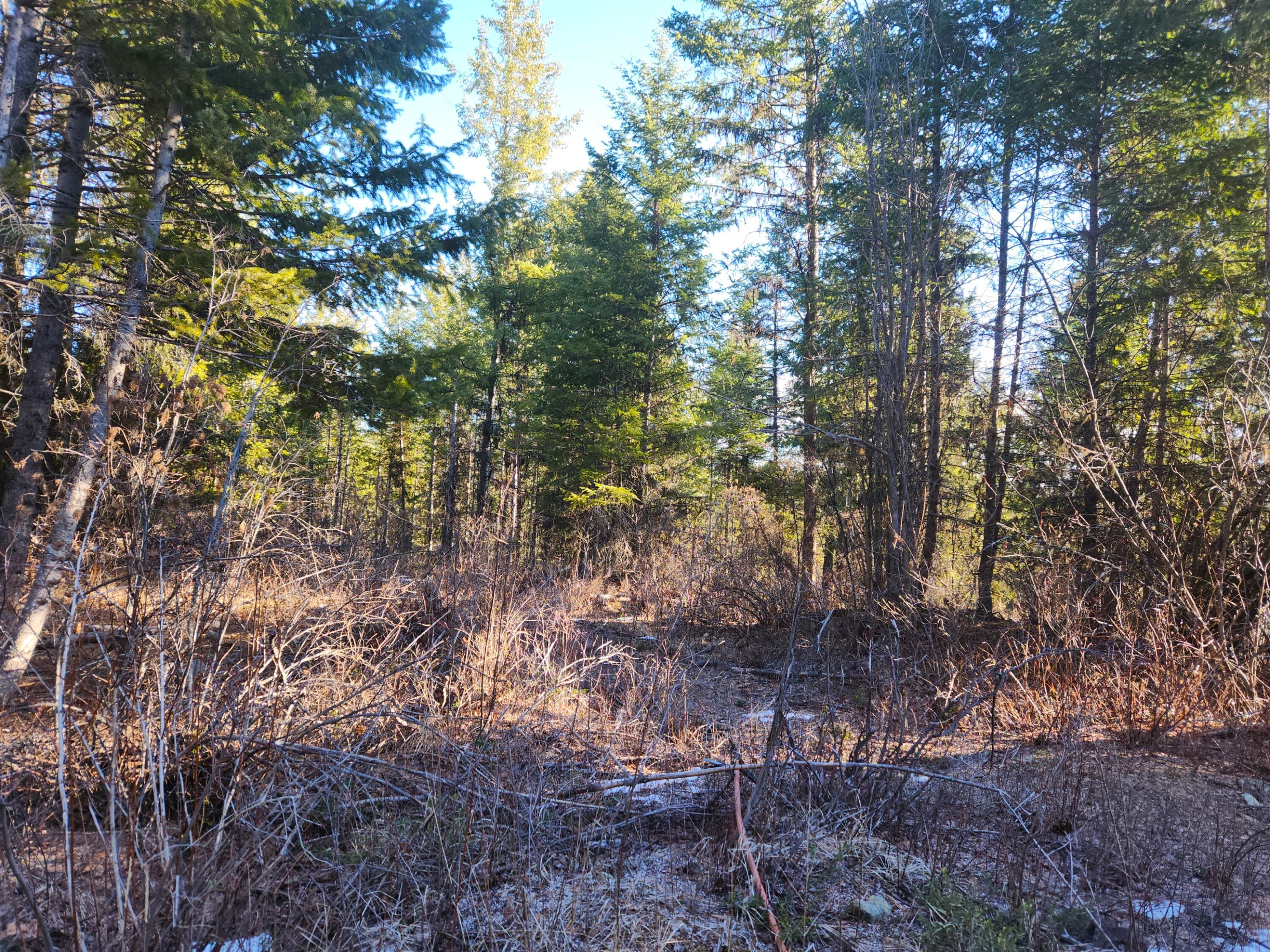 
                        Property photograph at
                        318 ROCKABYE LN
                      