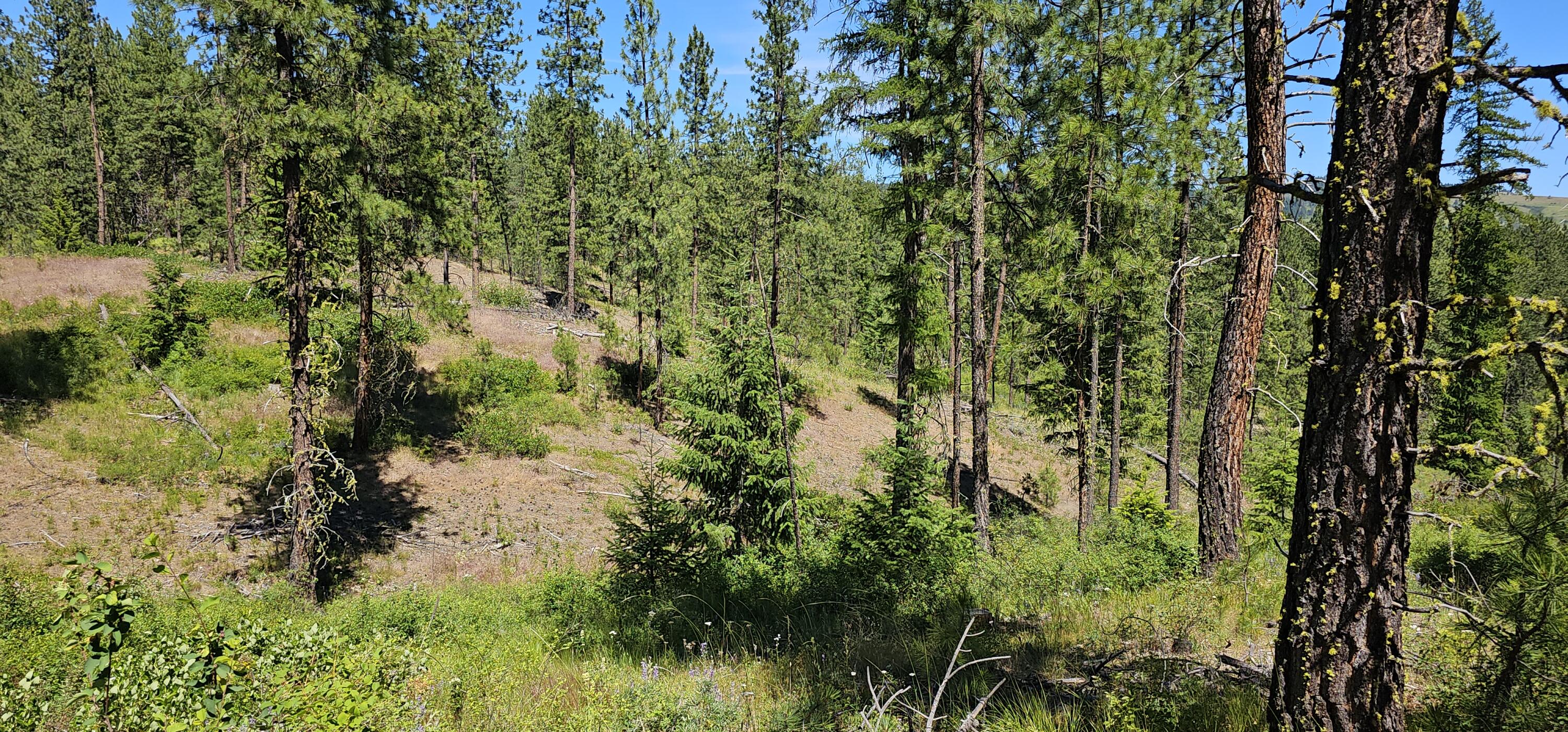 
                        Property photograph at
                        20X LYNX CREEK RD
                      